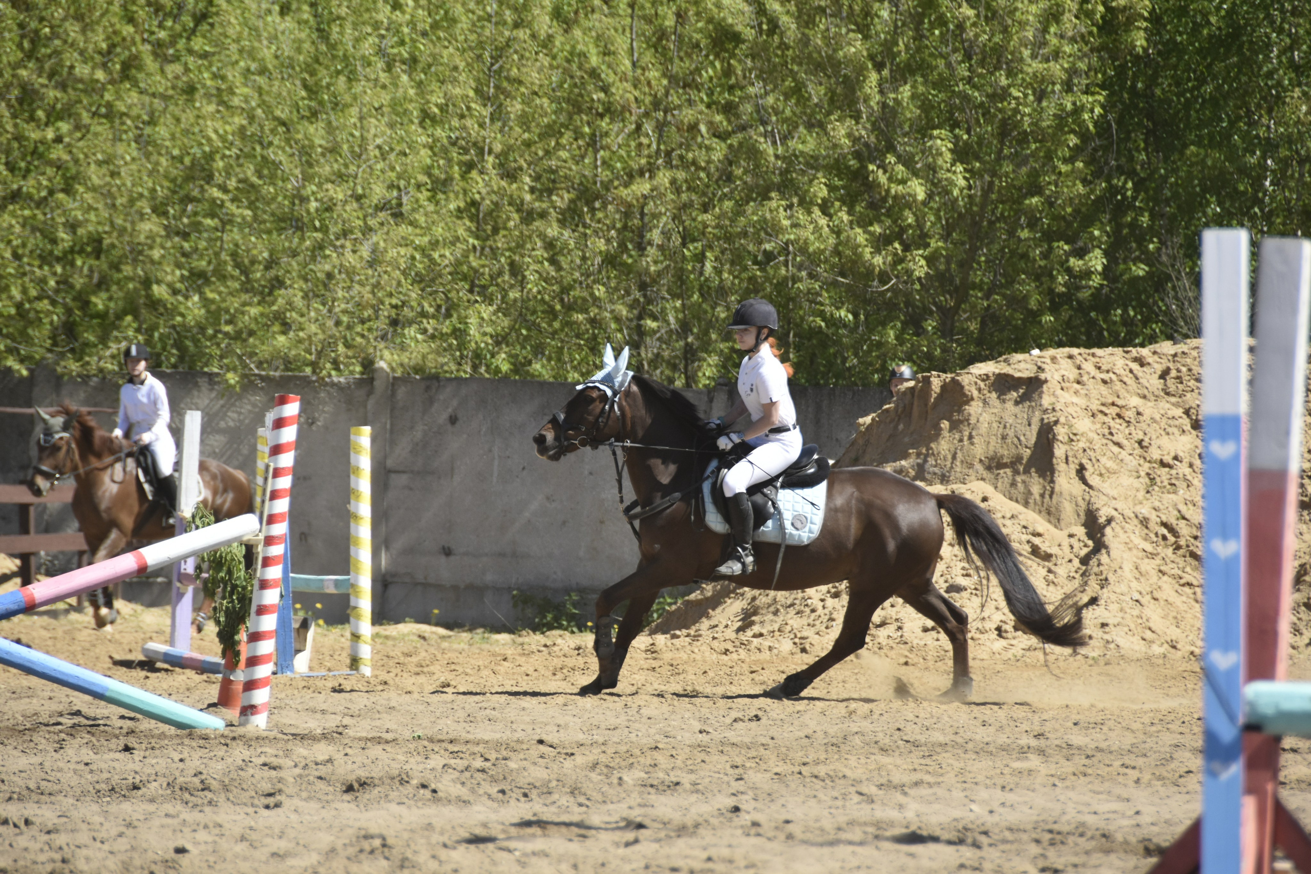 Соревнования по конкуру. КСК «Галактика». Конный фотограф Москва
