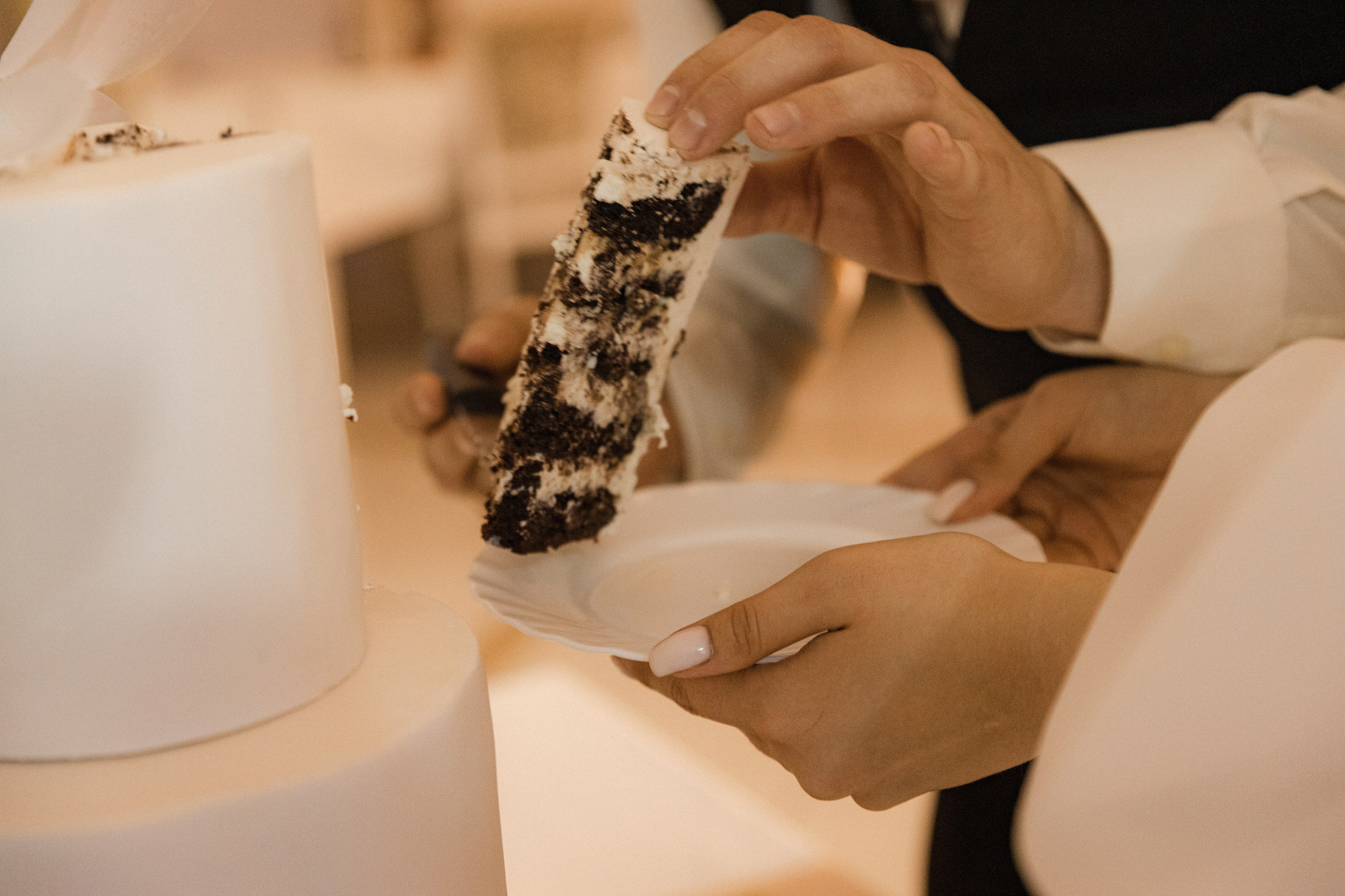 Дмитрий + Екатерина. Свадебное фото и видео в Липецке. Павел Покидов, Елена Покидова