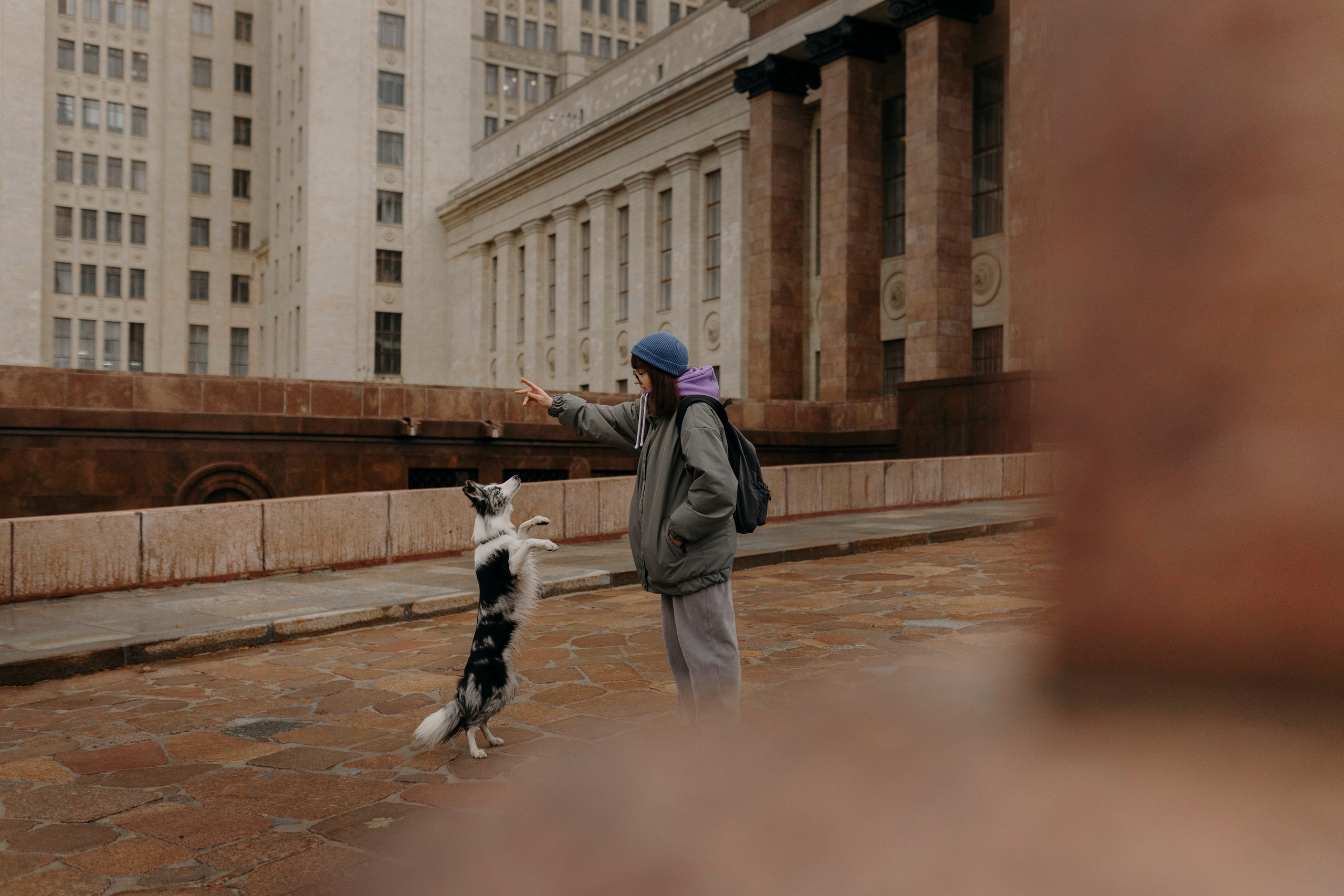 Москва / Настя и Рикотта. Фотограф Кузина Вера