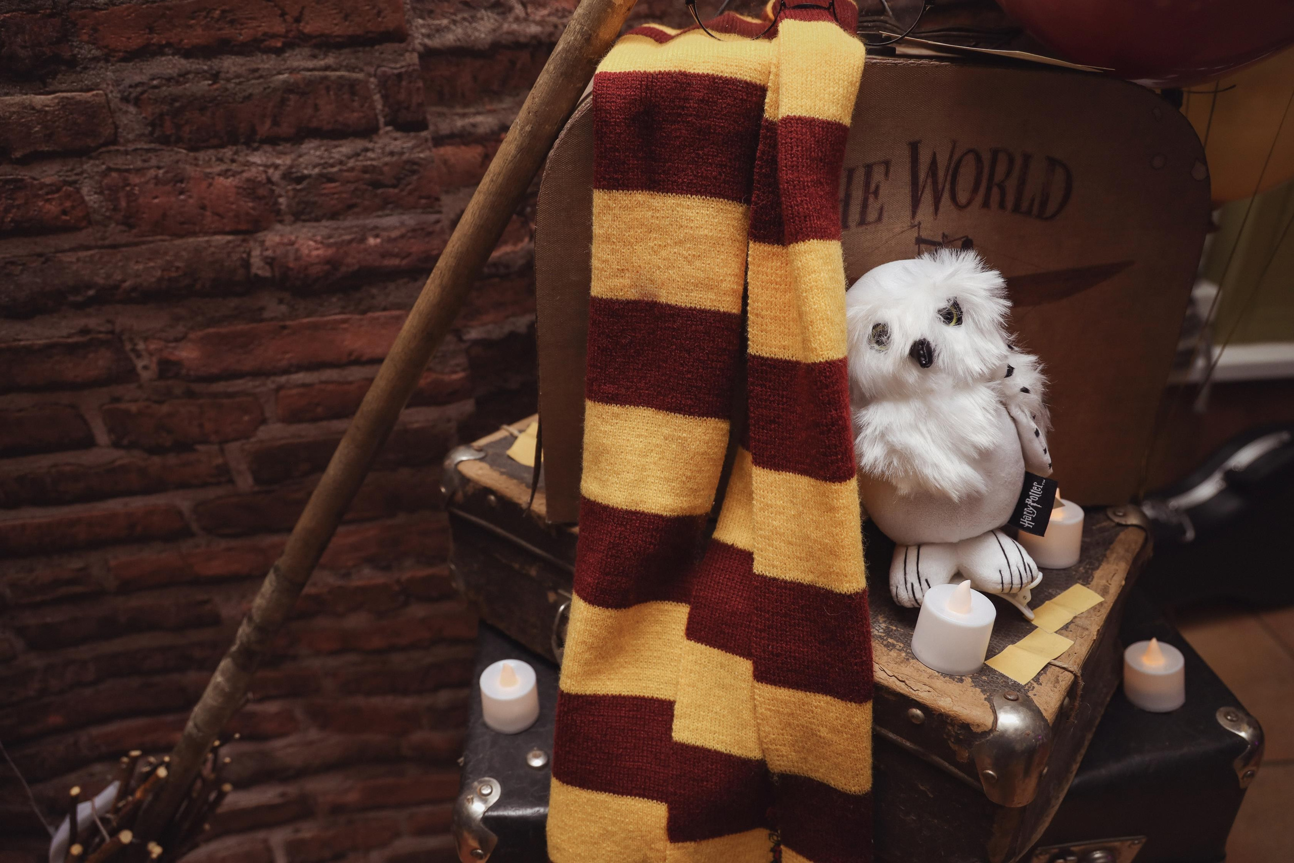 A Harry Potter party. Алина Малышева, свадебный и семейный фотограф Москва