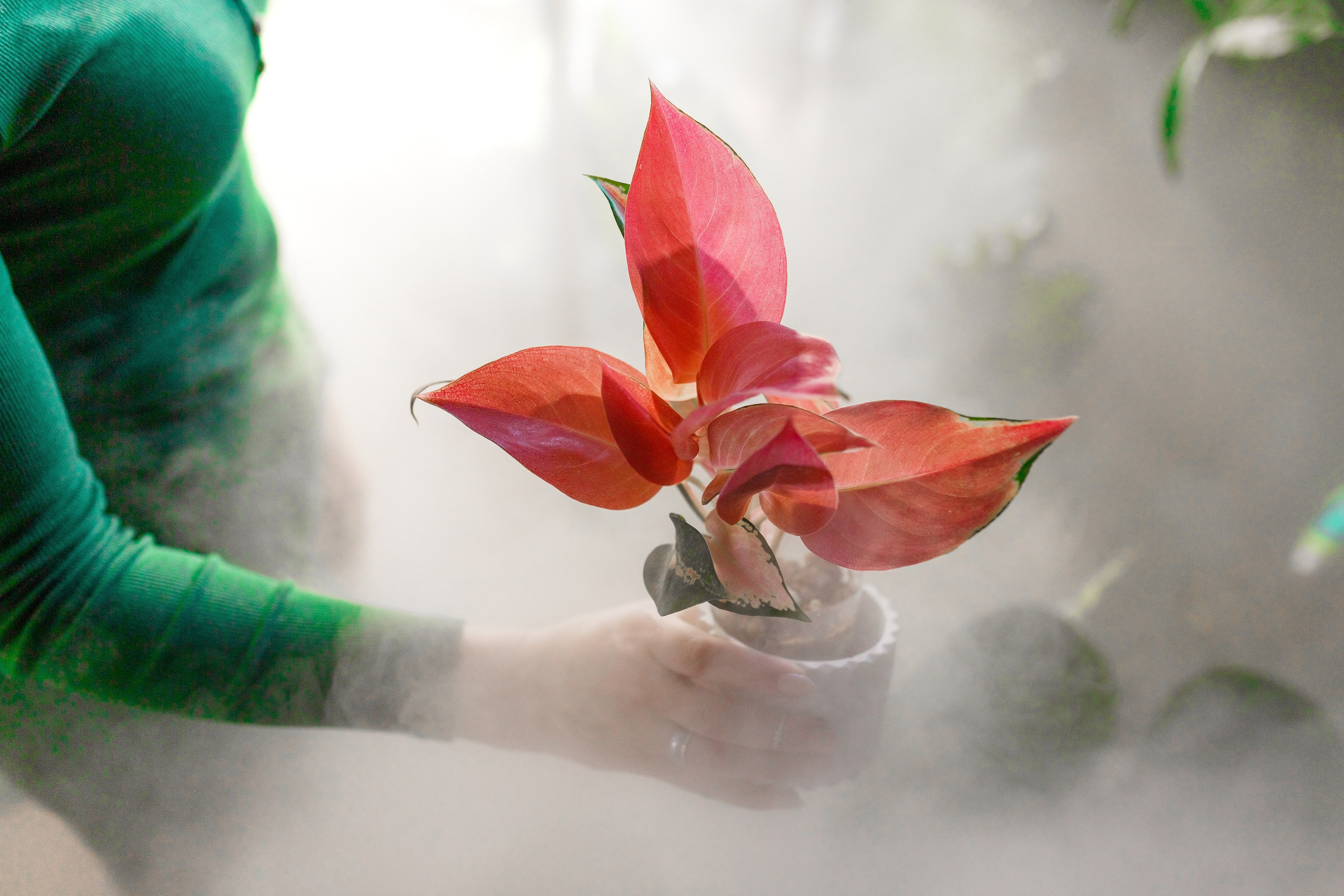 Портретная фотосессия. Семейный фотограф в Екатеринбурге