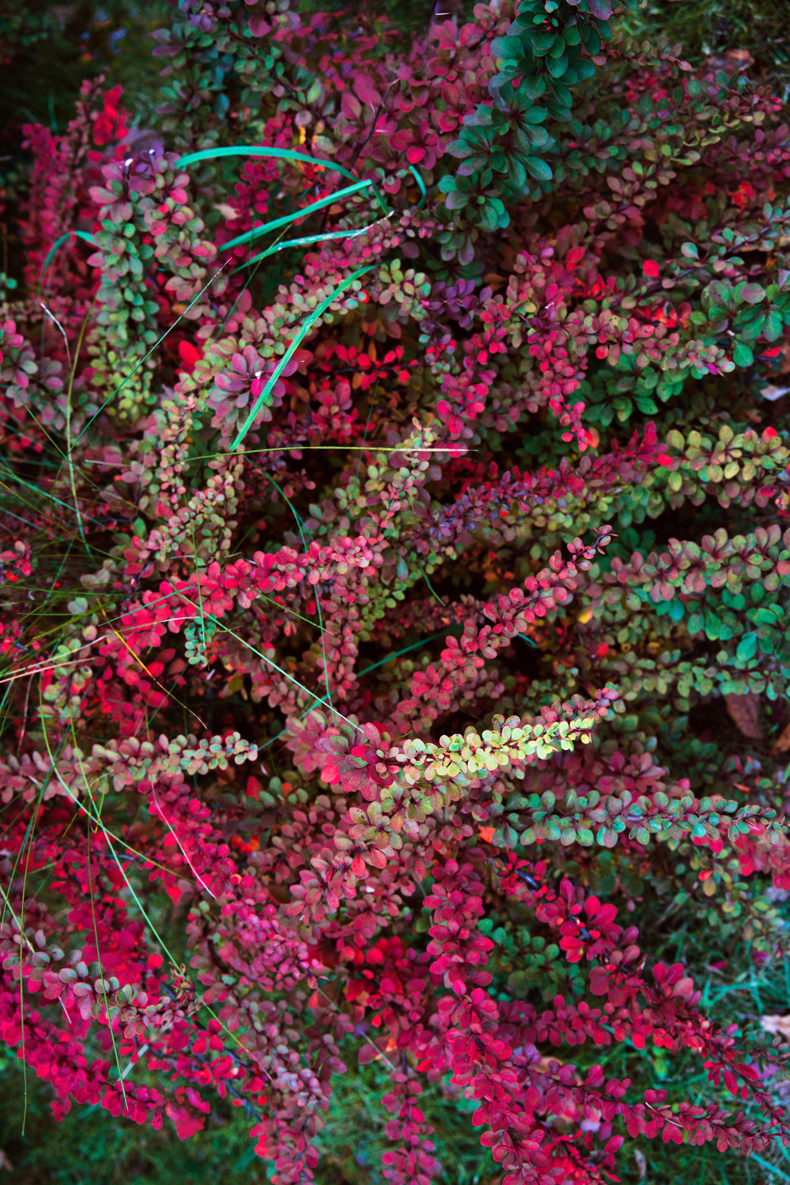 Осень 2025. Фотограф из Москвы — DASHA NOVA | Авторская фотография в разных жанрах