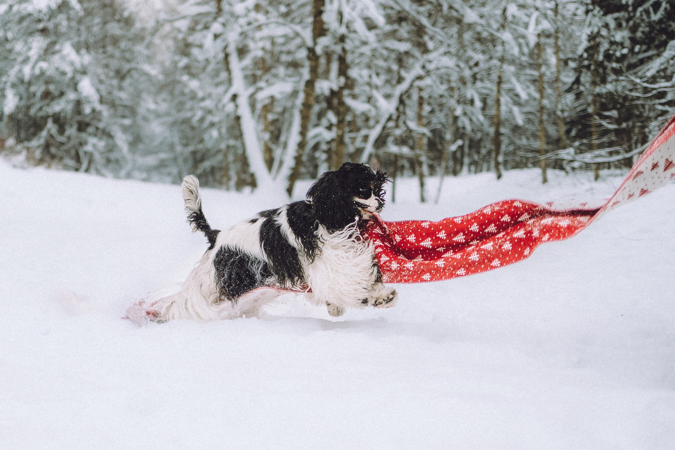 Ольга и Патрик
