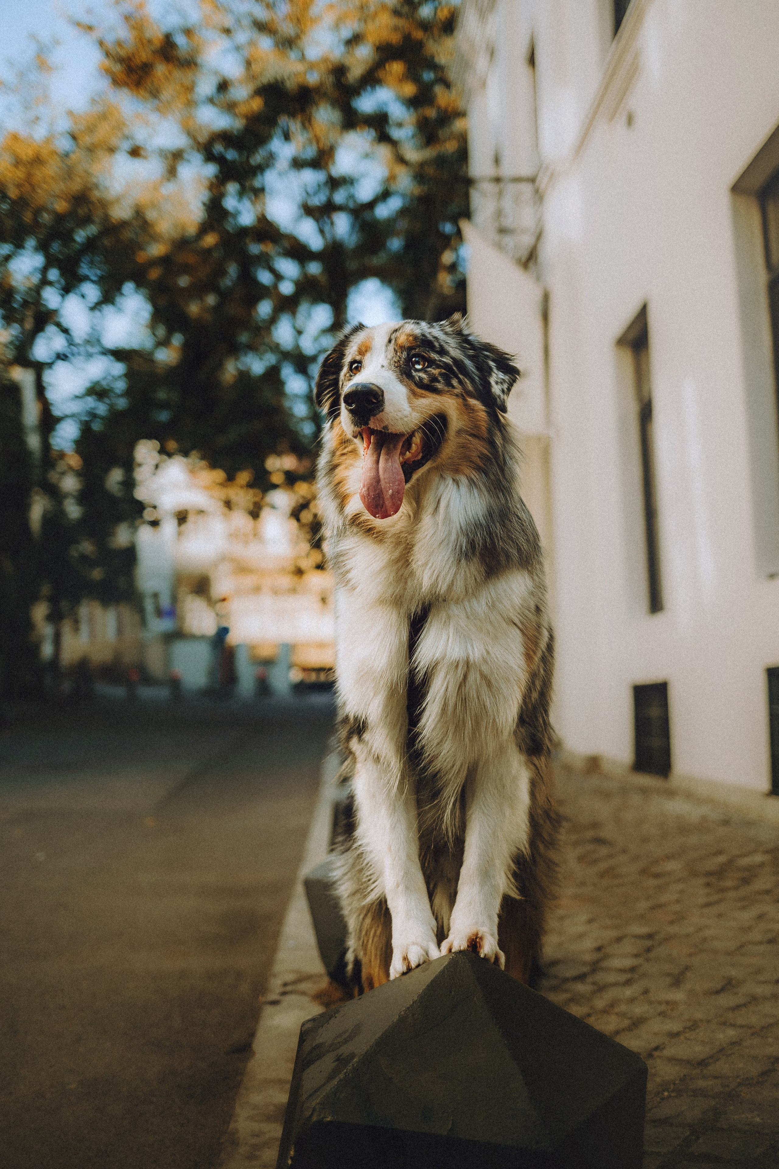 Саша, Рома и Один