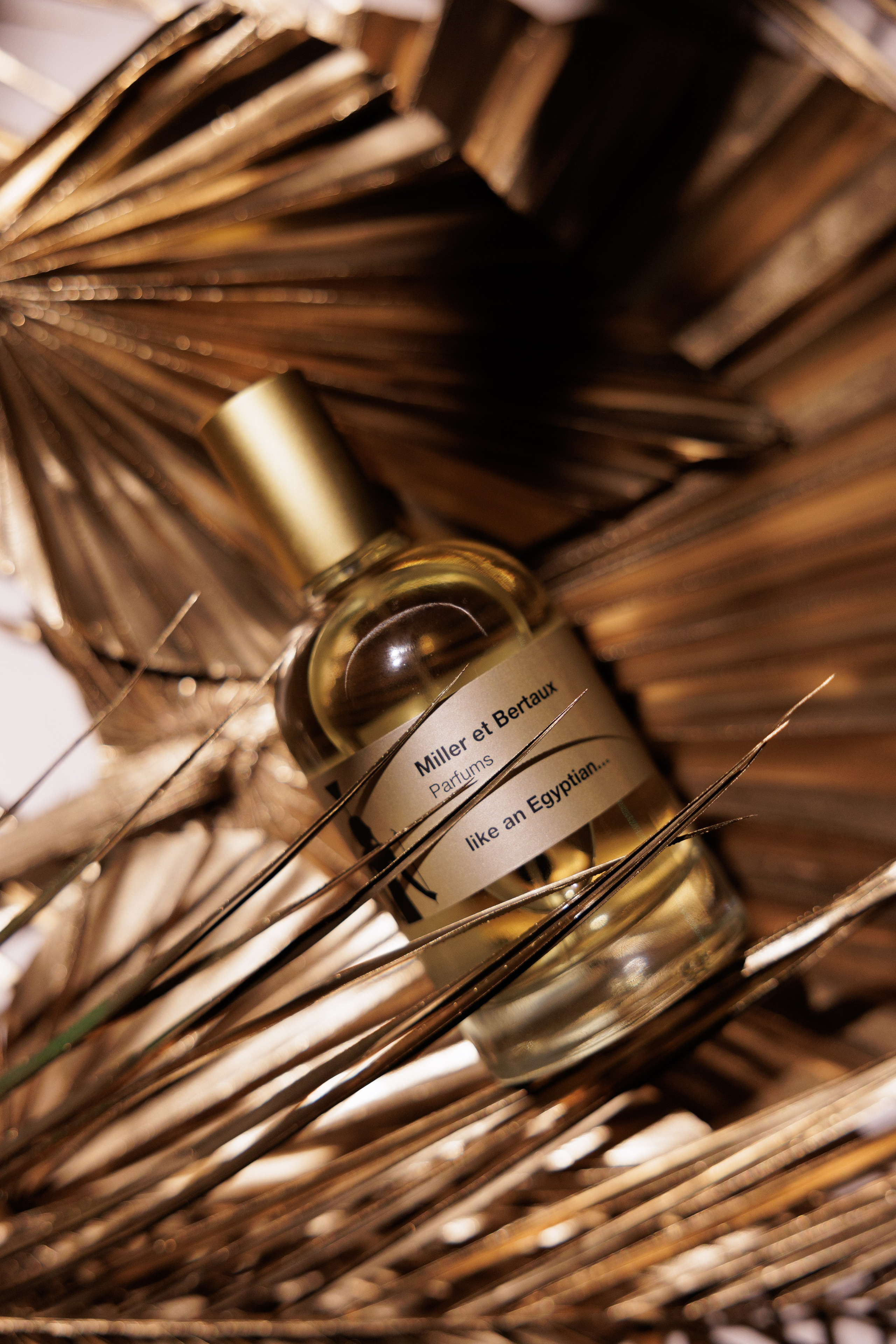 Miller et Bertaux. Светский фотограф — Анисина Ирина