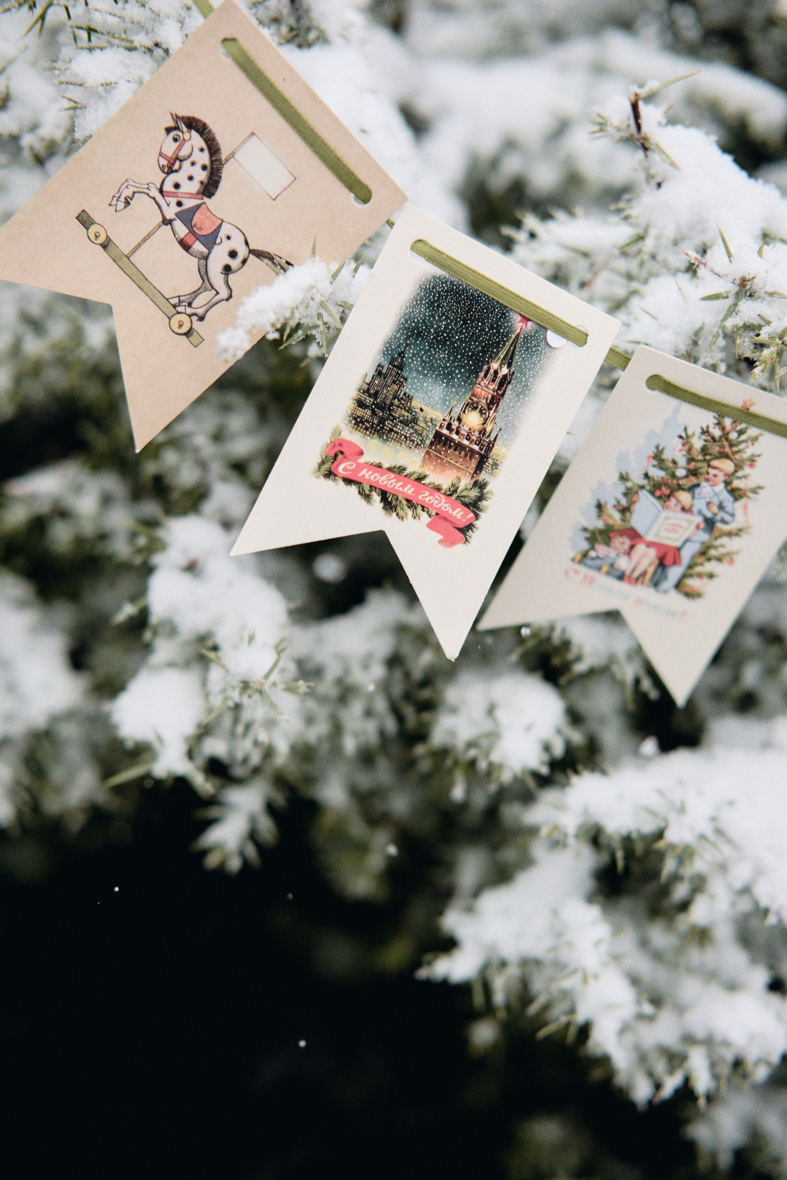 Каролинка. Фотограф в Анапе и Краснодаре Тина