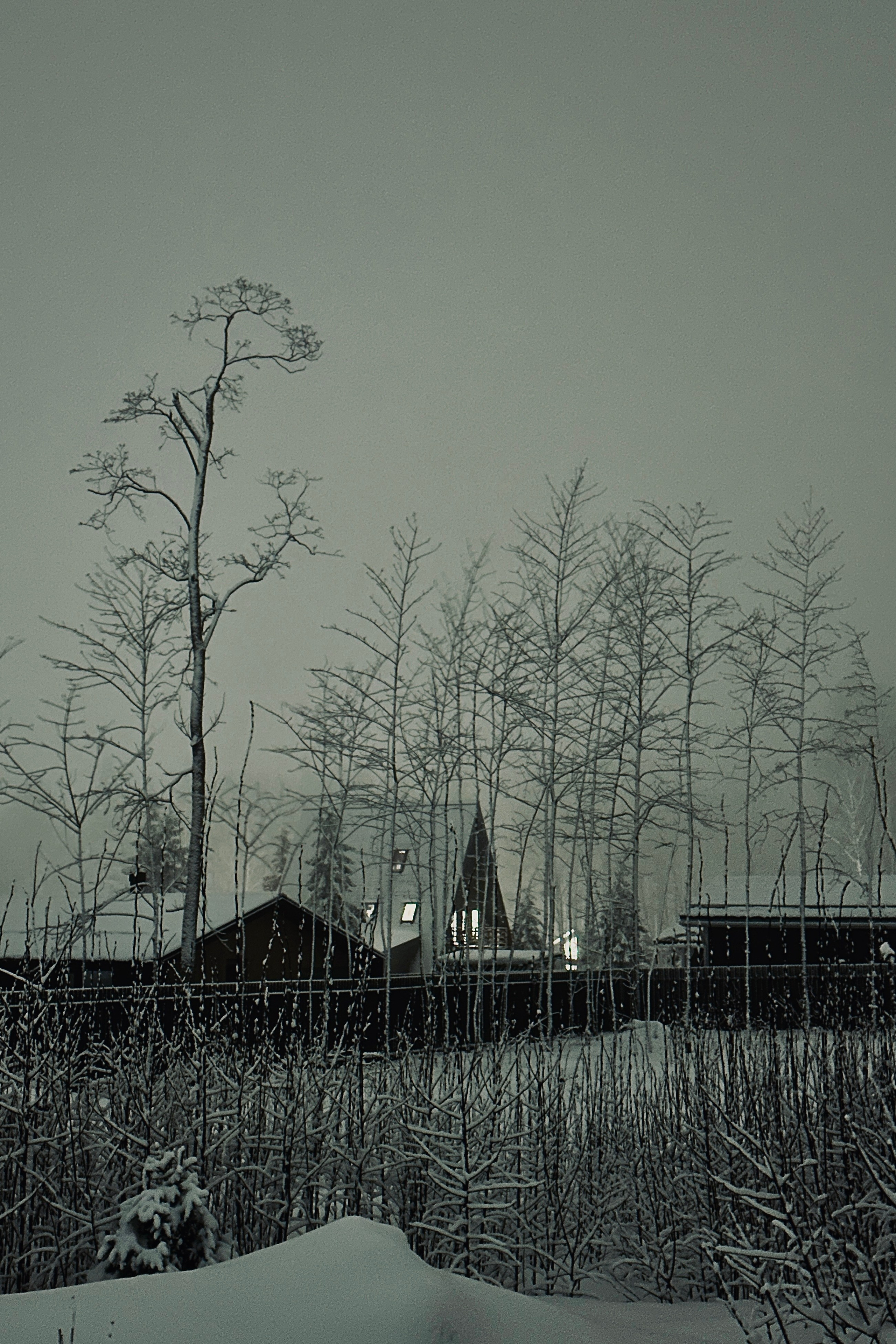 Рефлексия. Портретный фотограф