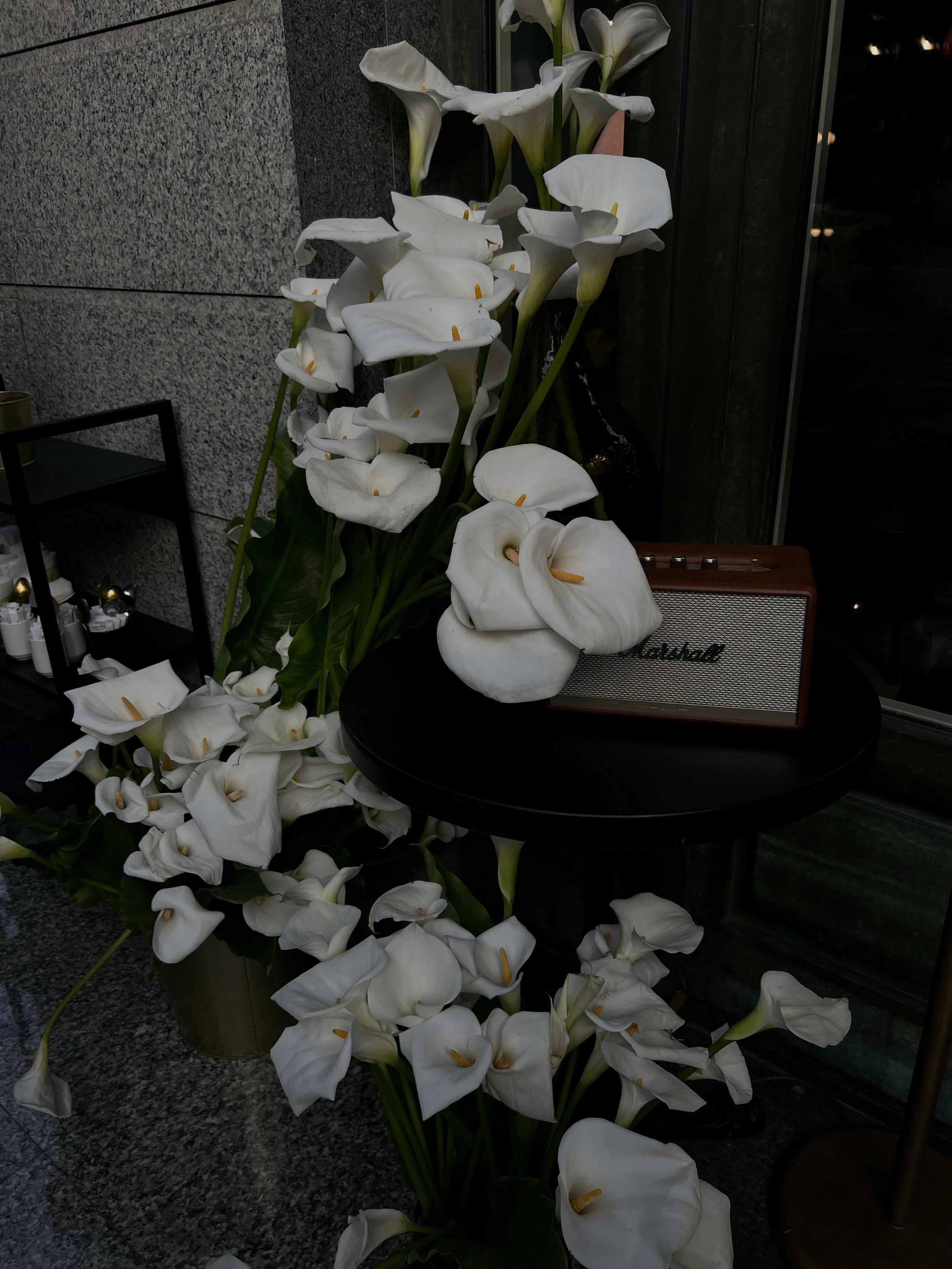 Фотограф в Таганроге Галина Бычкаускас