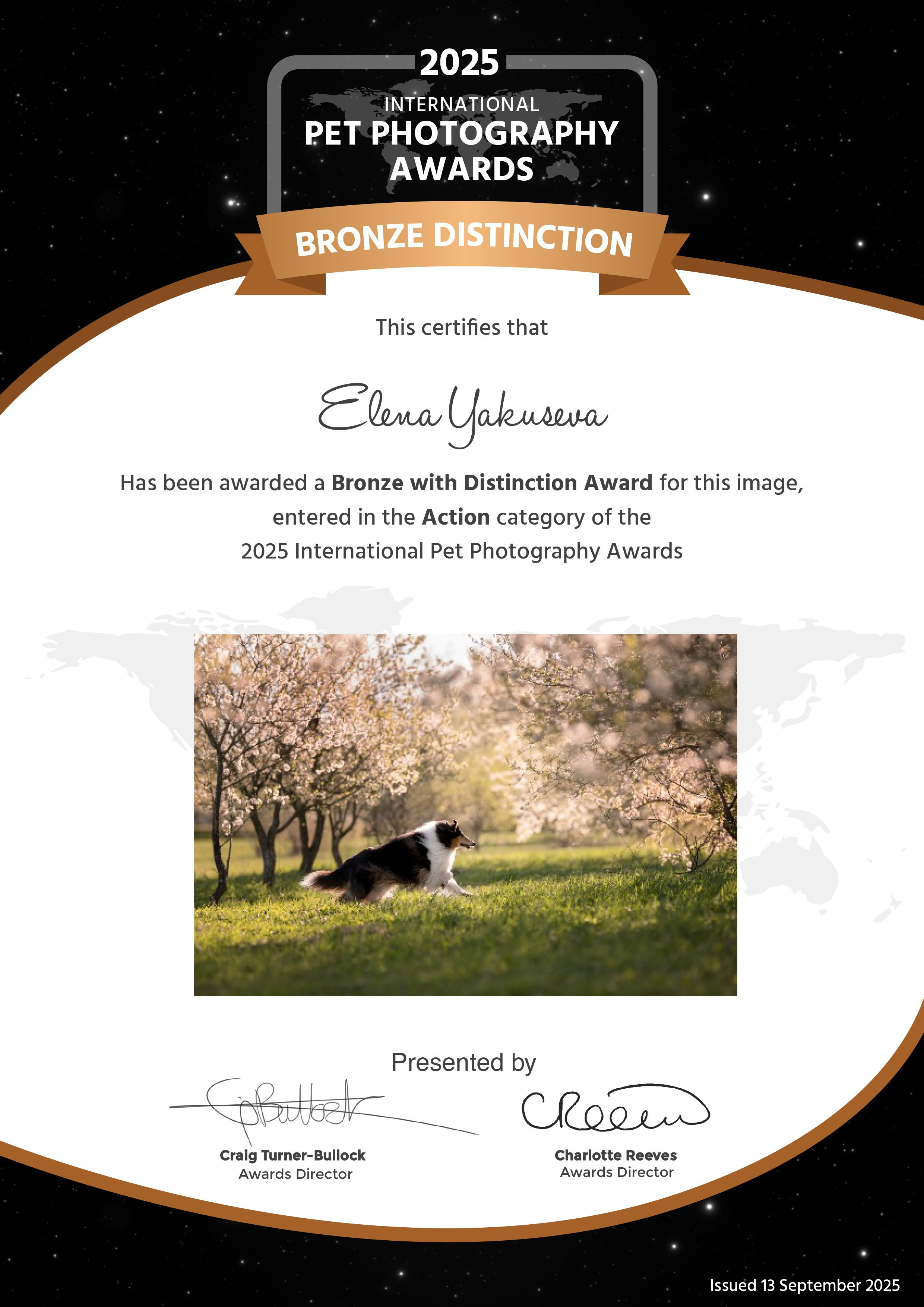 Дипломы & AWARDS. -