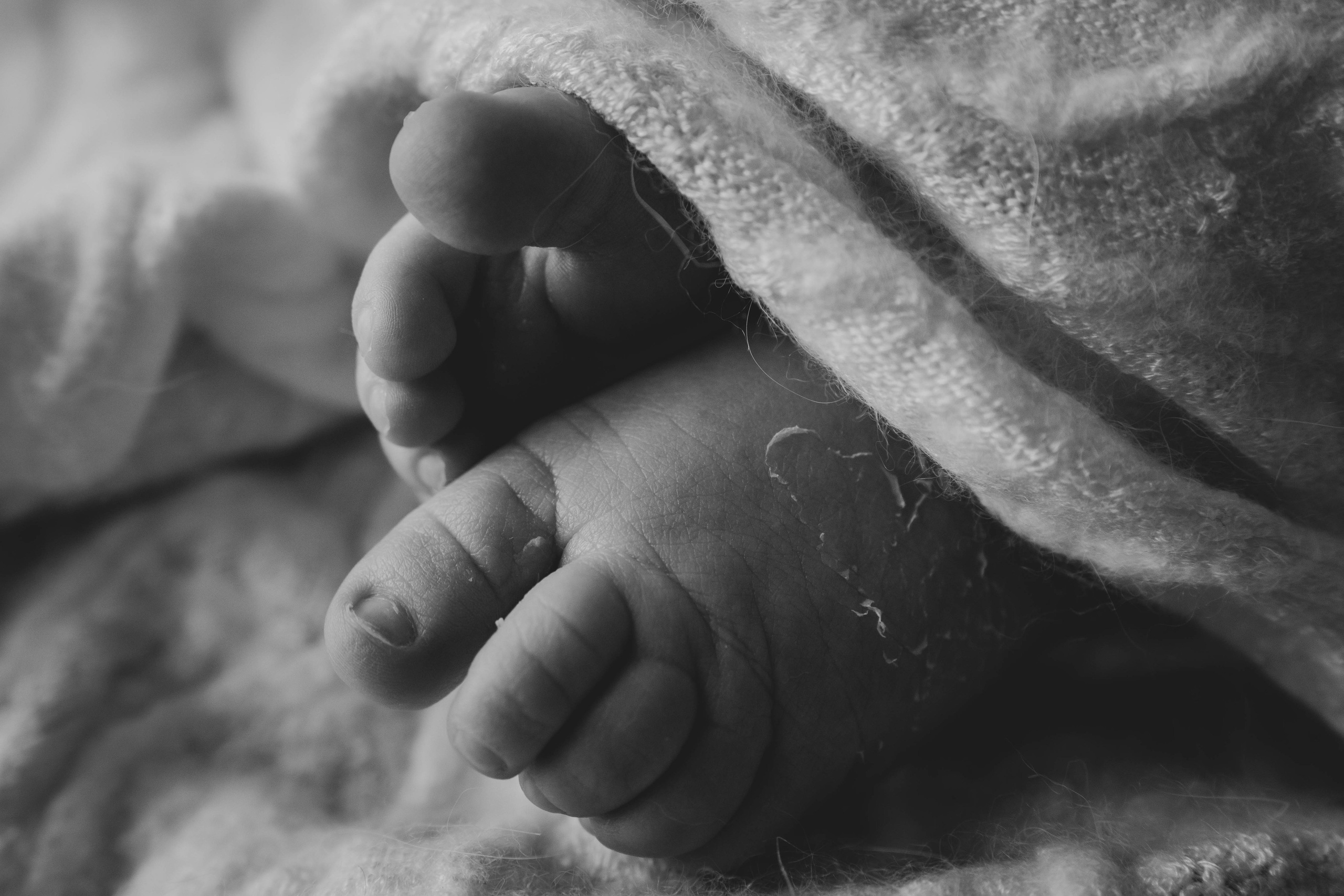 Доминик. NewBorn. Фотограф СЕМЬИ и ДЕТСТВА в Краснодаре и Краснодарском крае Екатерина Москат