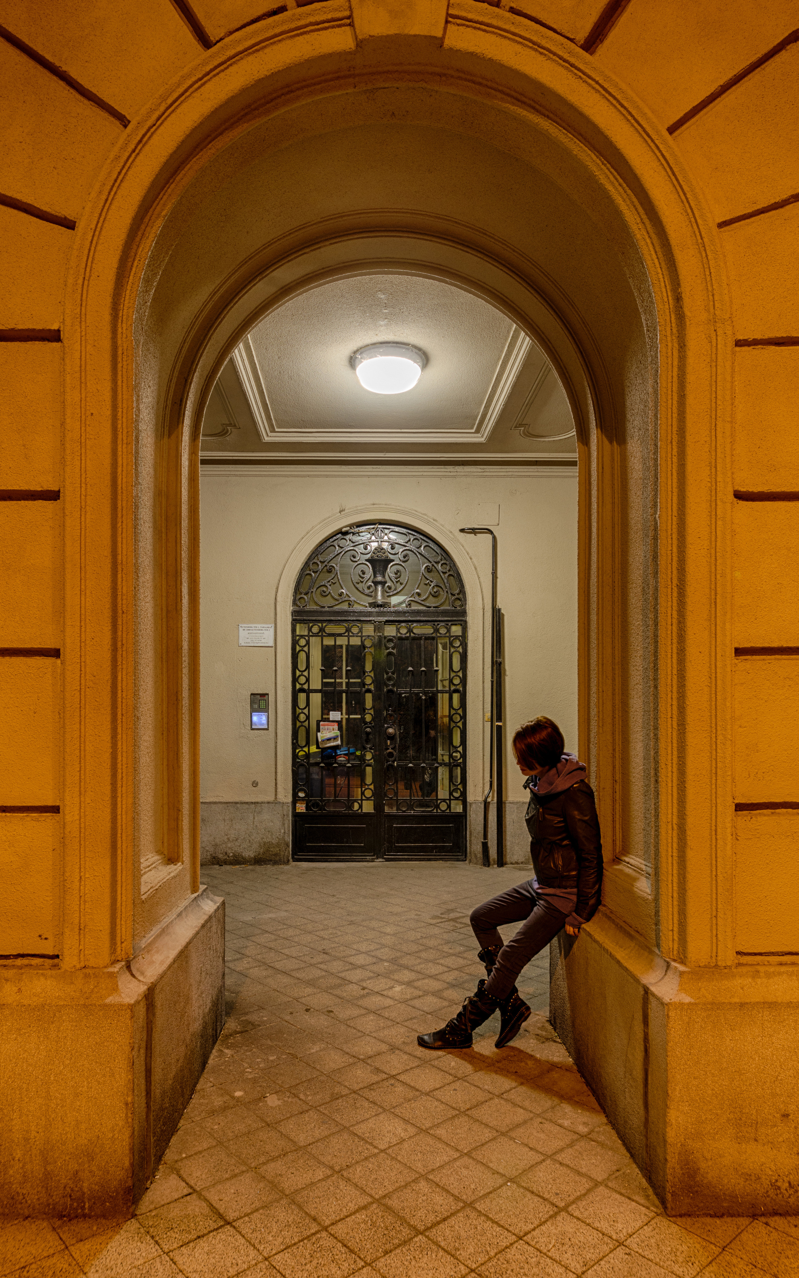 АРТ Город Будапешт. Фотограф Платон Македонский