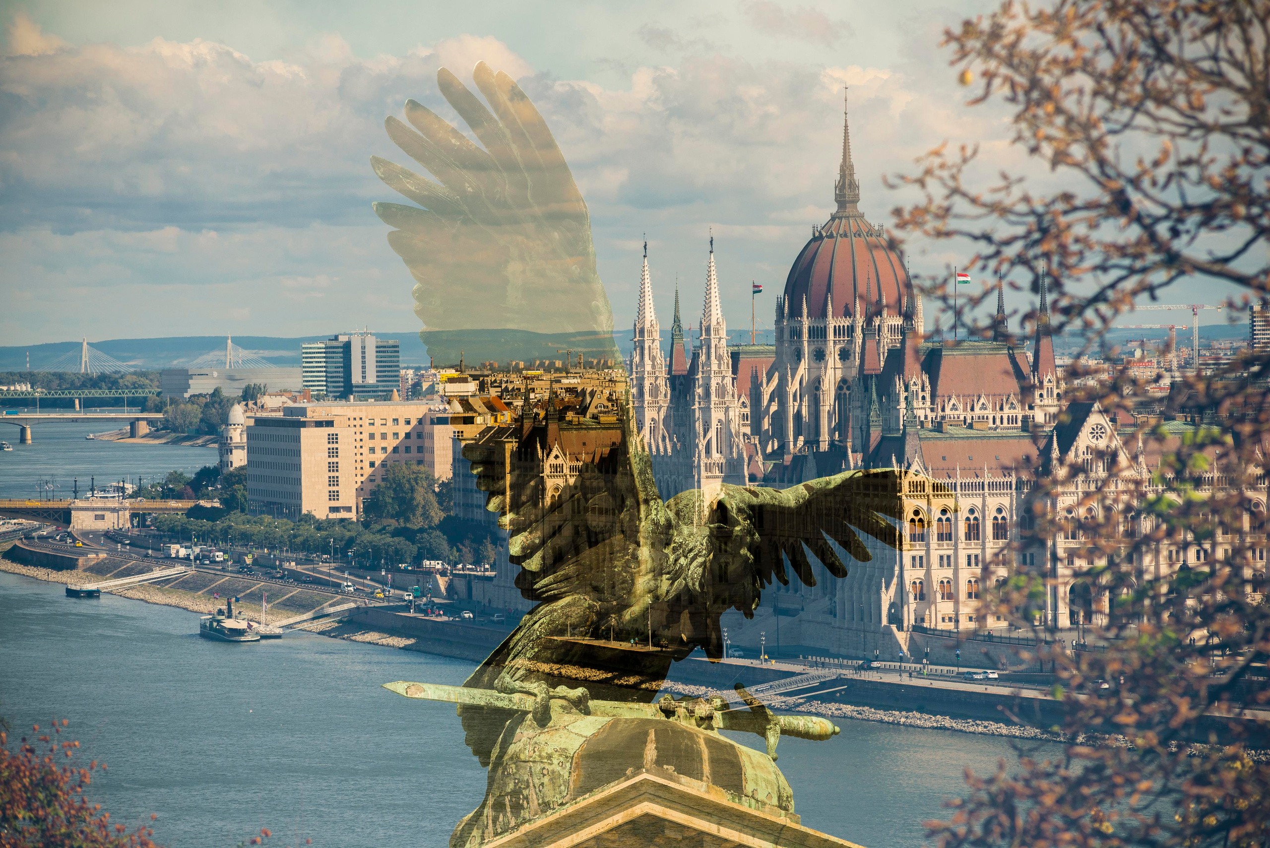 АРТ Город Будапешт. Фотограф Платон Македонский