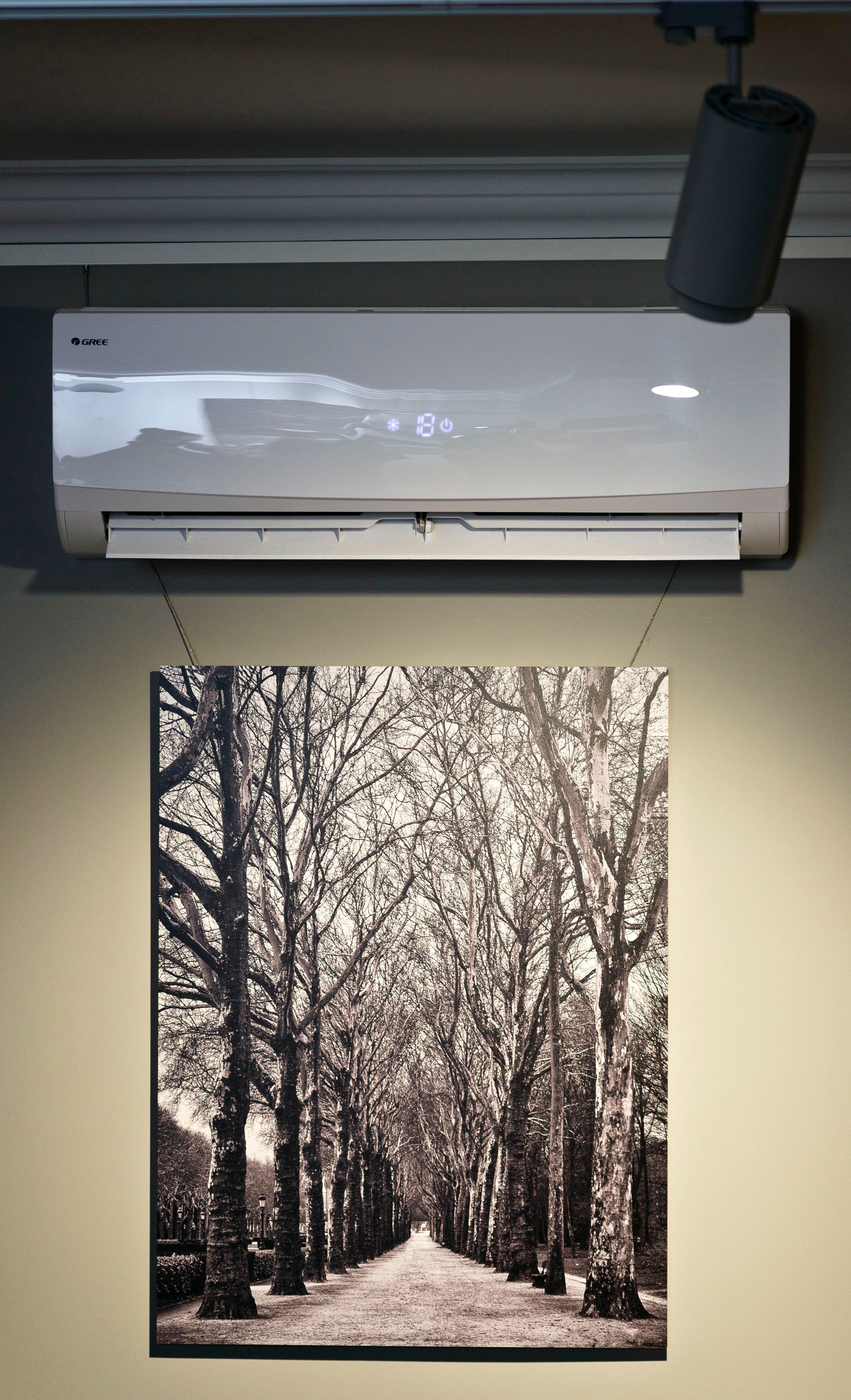 Фото репортаж. Фотограф Платон Македонский