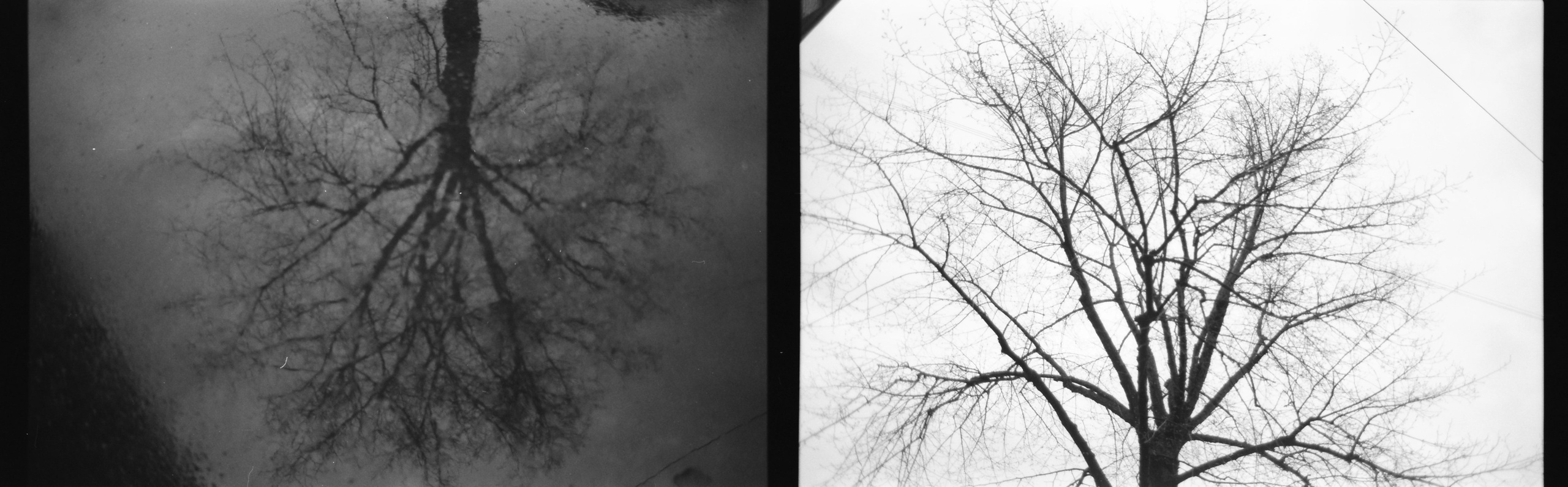 Стрит 2018-∞. Наталья Рутова