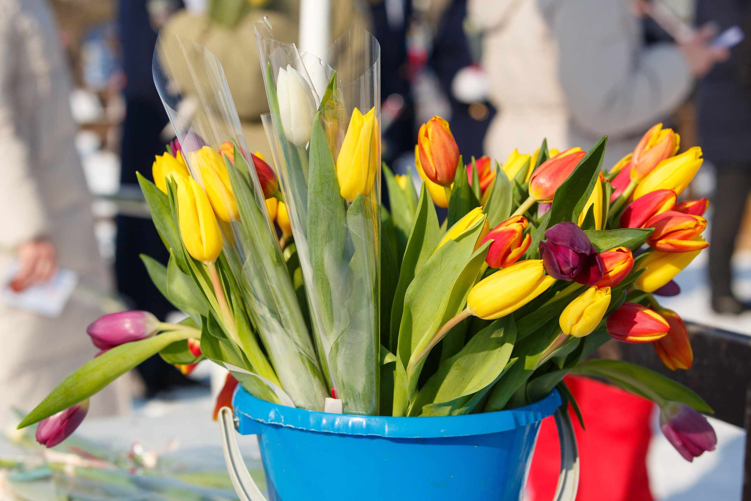 07.03.2025 г. Кубок Главы г. Тюмени по лыжным гонкам. Мой фотомир