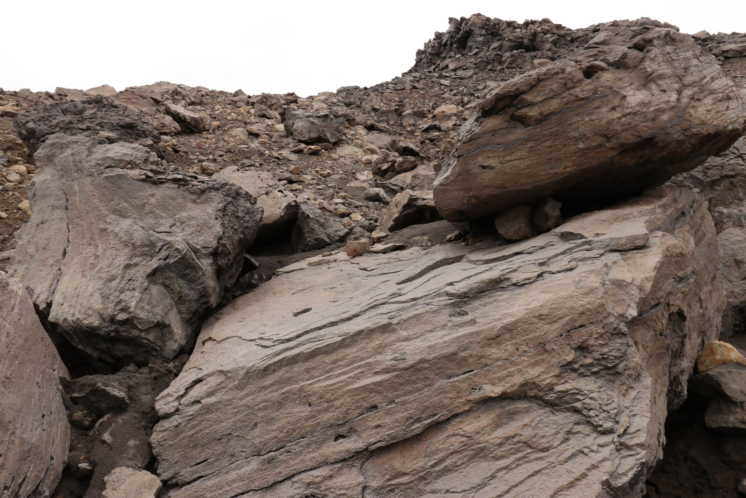 Камчатка и о. Парамушир. Июль 2024. Путешественник-фотограф из Санкт-Петербурга Татьяна Свистулина