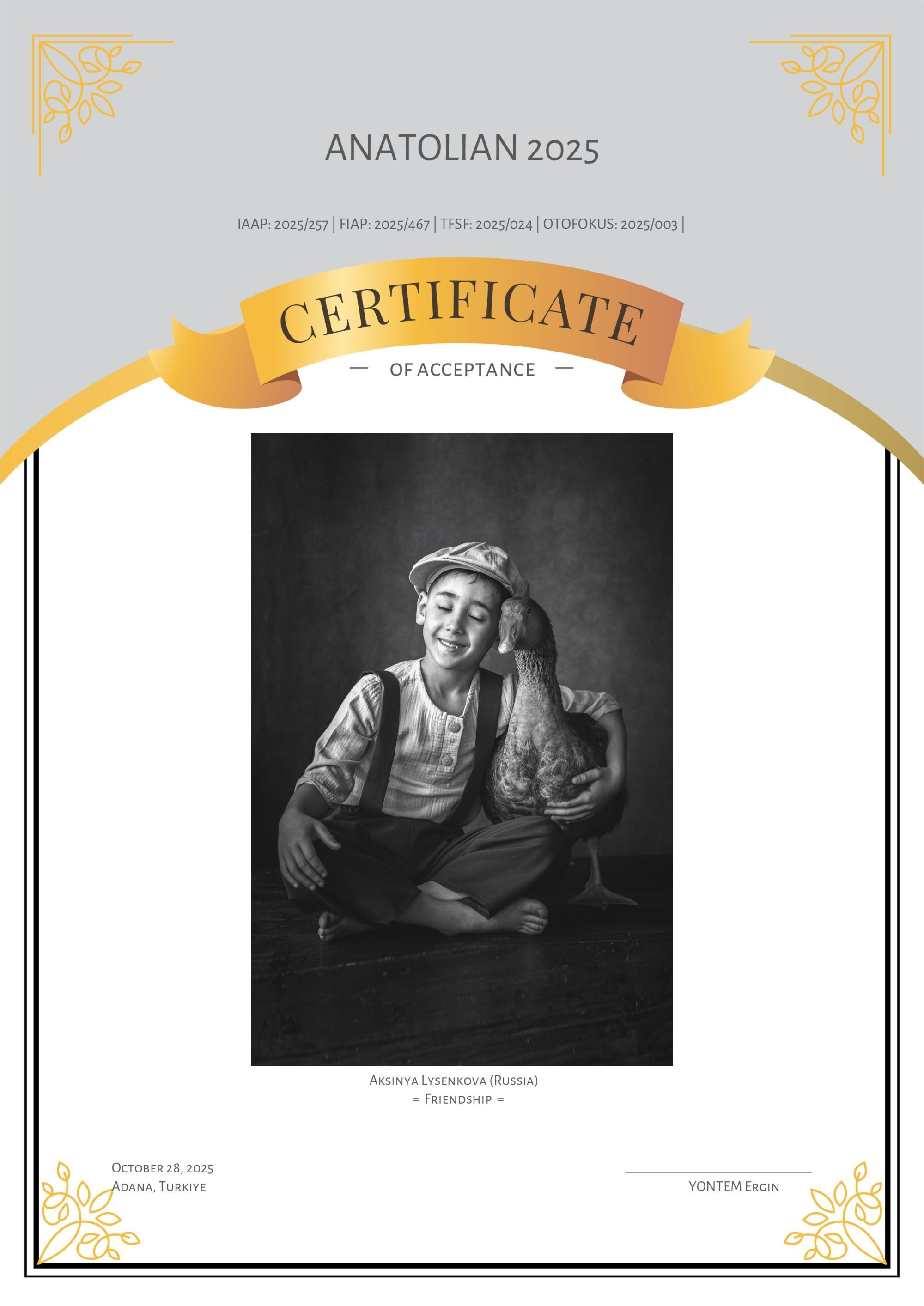 Дипломы. Детский, семейный фотограф в Ижевске и Москве Аксинья Лысенкова ADEN