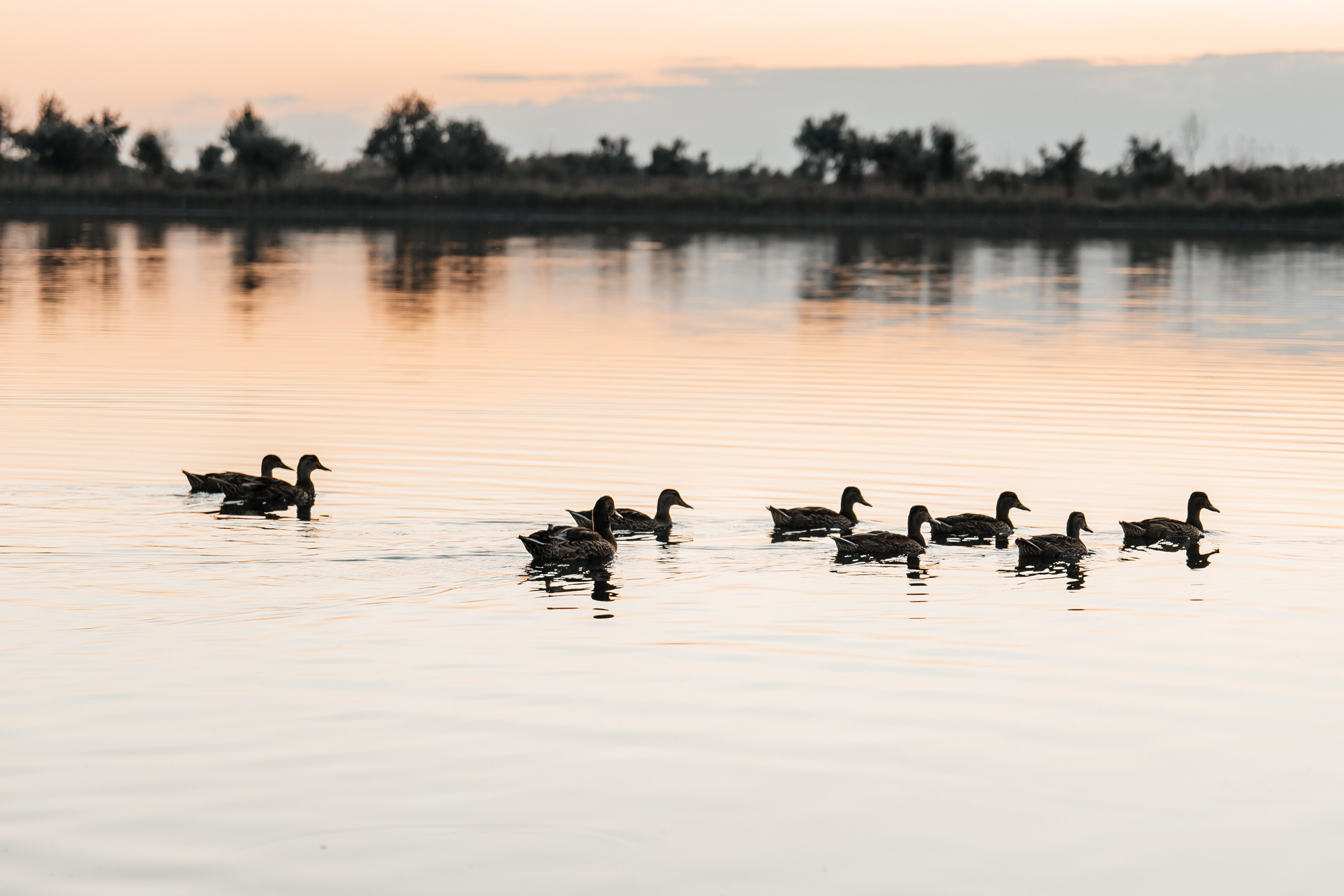 Яна и Никита