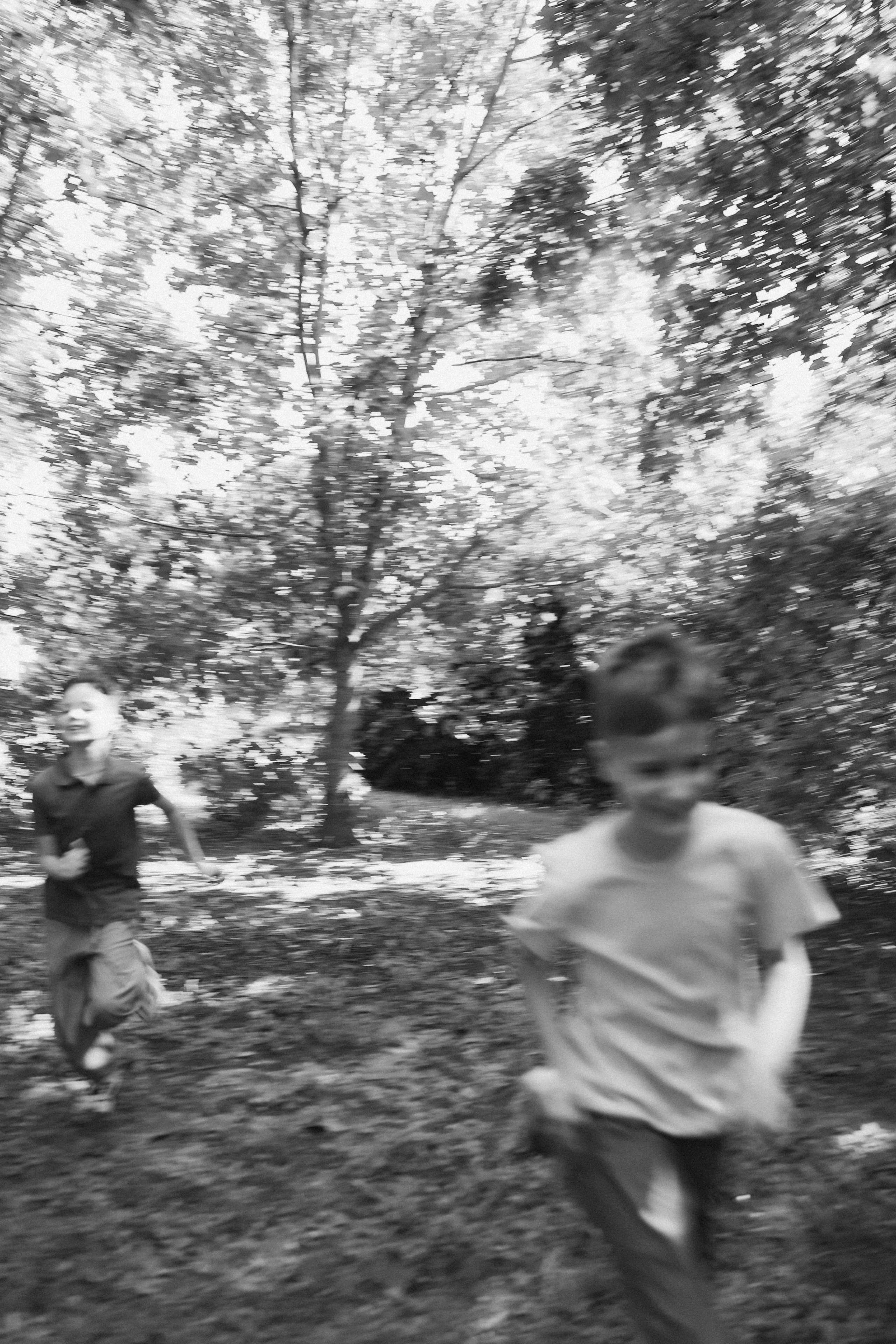 Пруды. Фотограф НатаФото (Наталья Яковенко) Дмитров Москва Питер