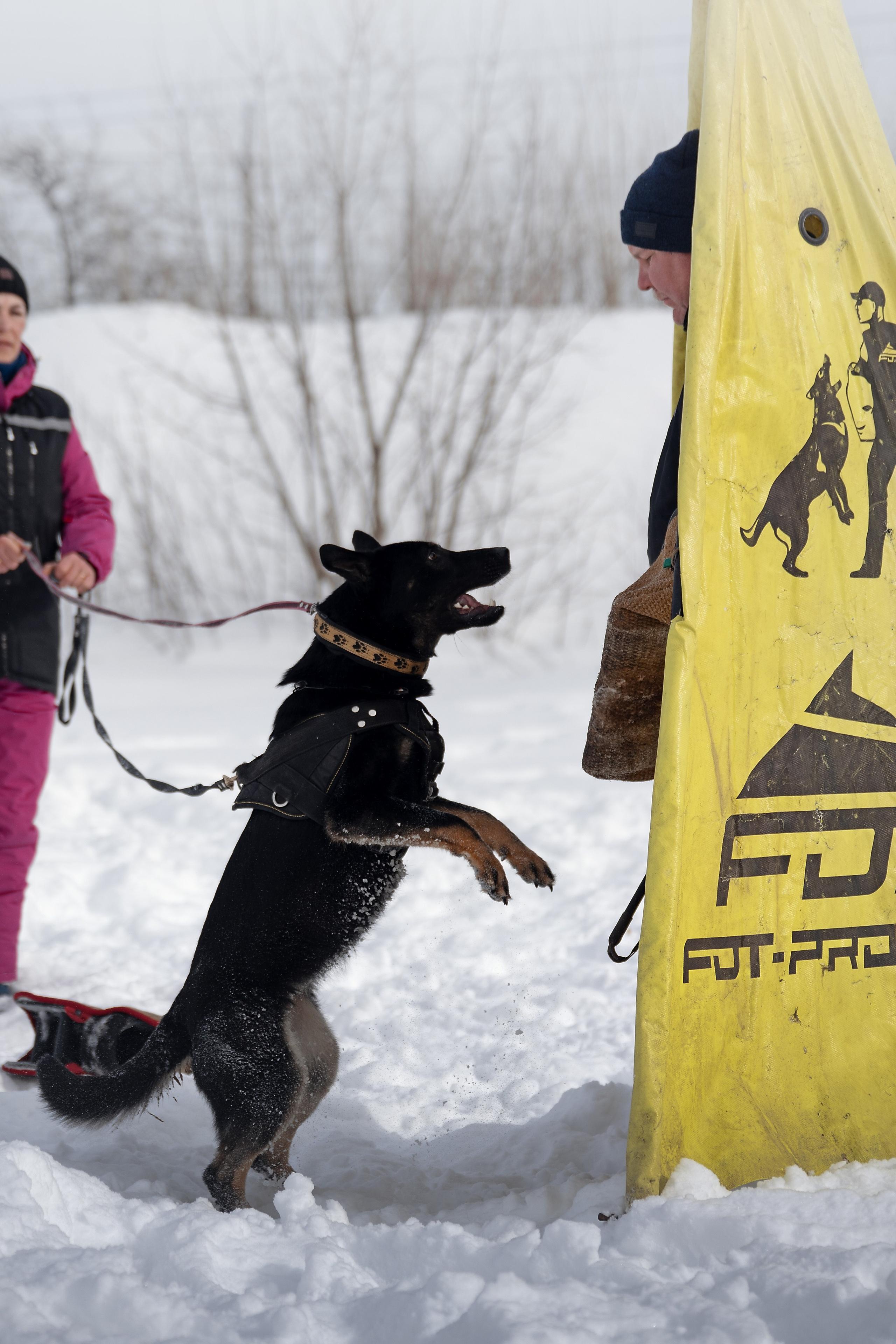Репортажная съемка. Фотограф-анималист Нижний Новгород