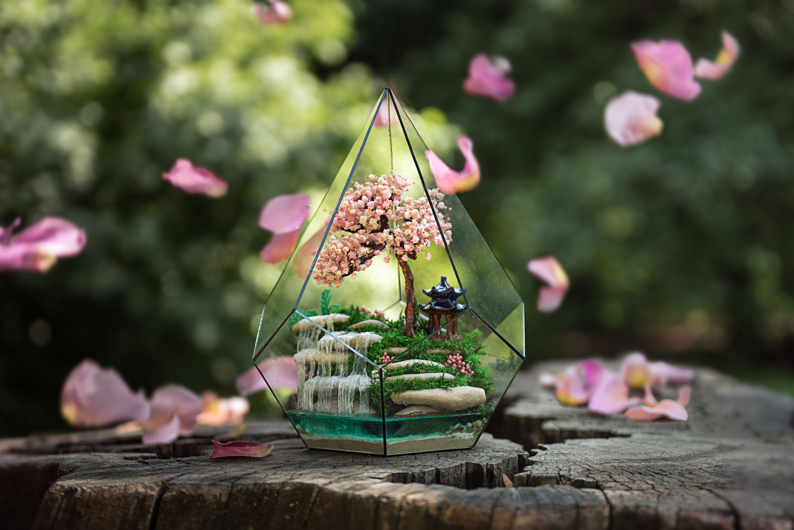 Фотосъемки для бизнеса. Семейный фотограф Израиль. Фотокниги и школьные альбомы