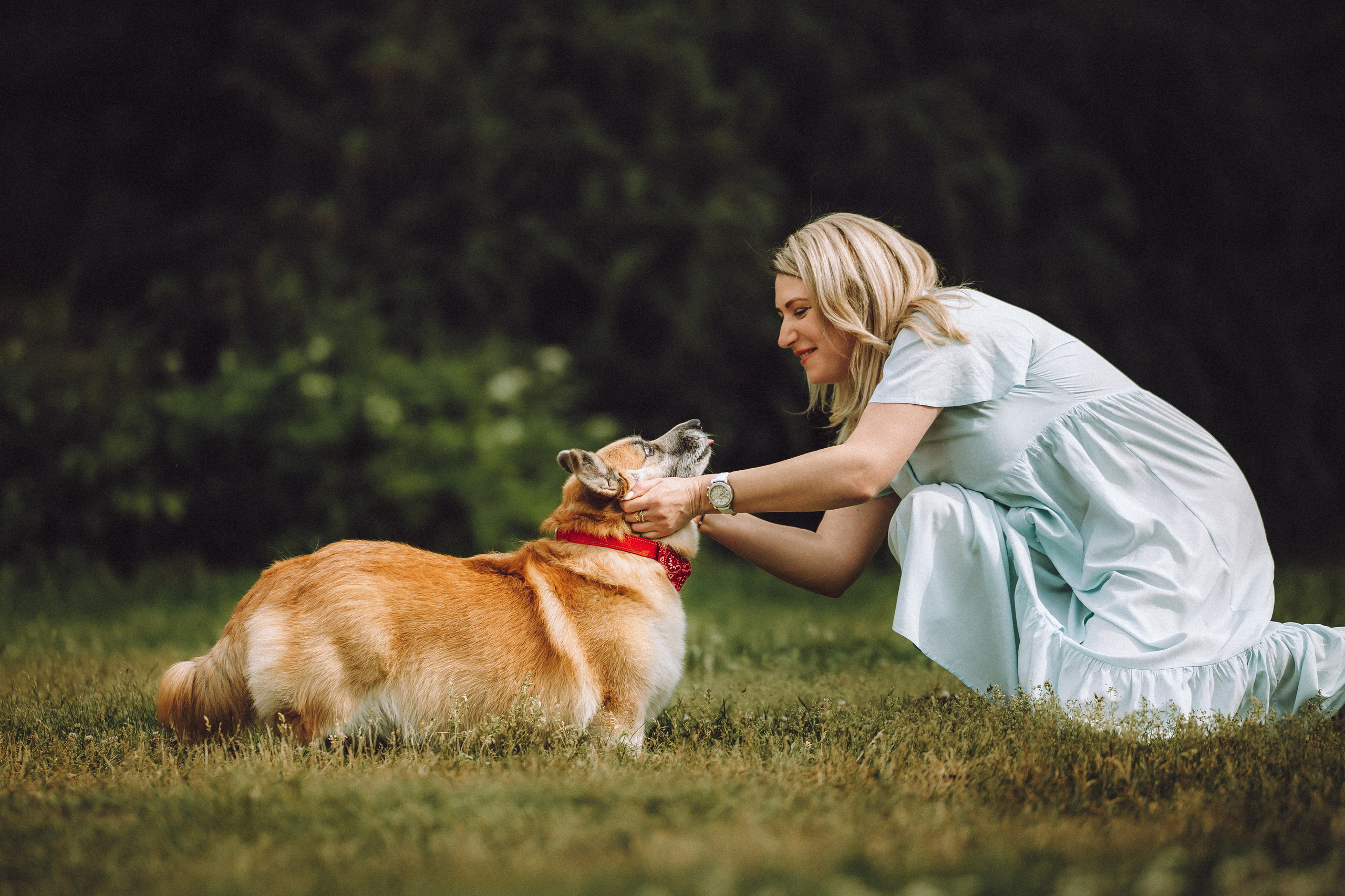 Ира, Леша и Харли