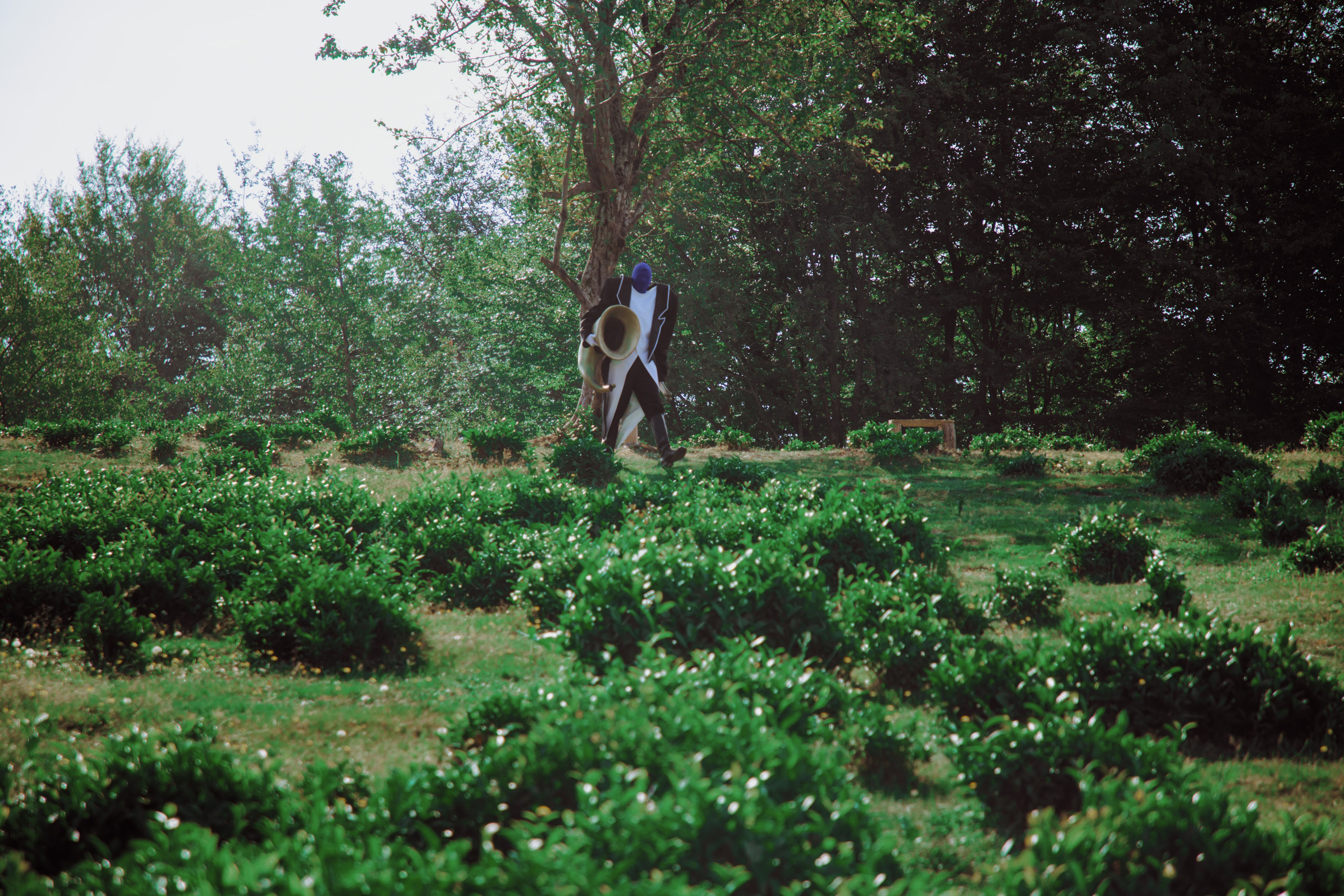 Backstage «Алиса в стране чудес». Фотограф в Москве и Санкт-Петербурге Дарина