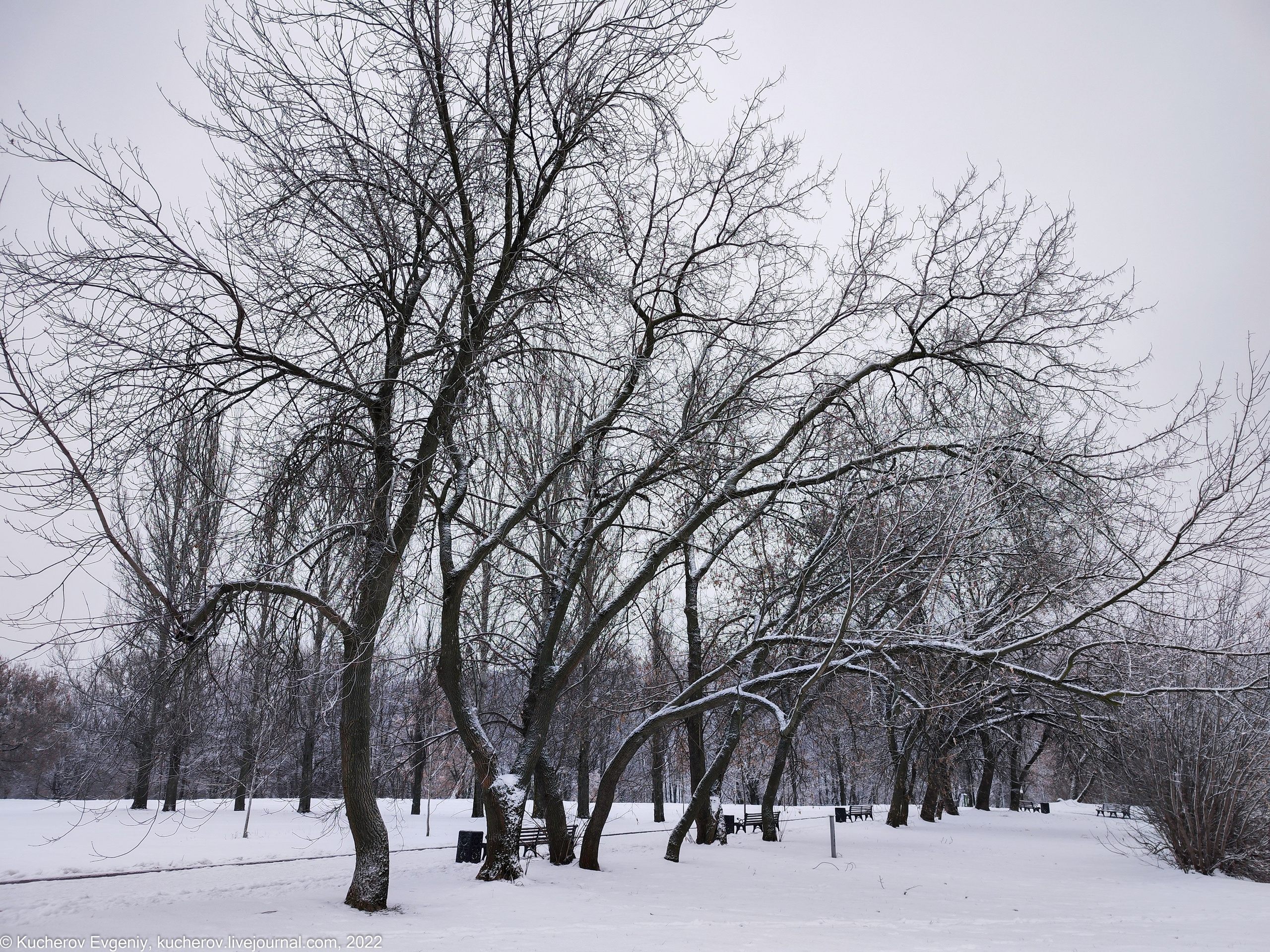 Коломенское. Кучеров Евгений. Фотограф