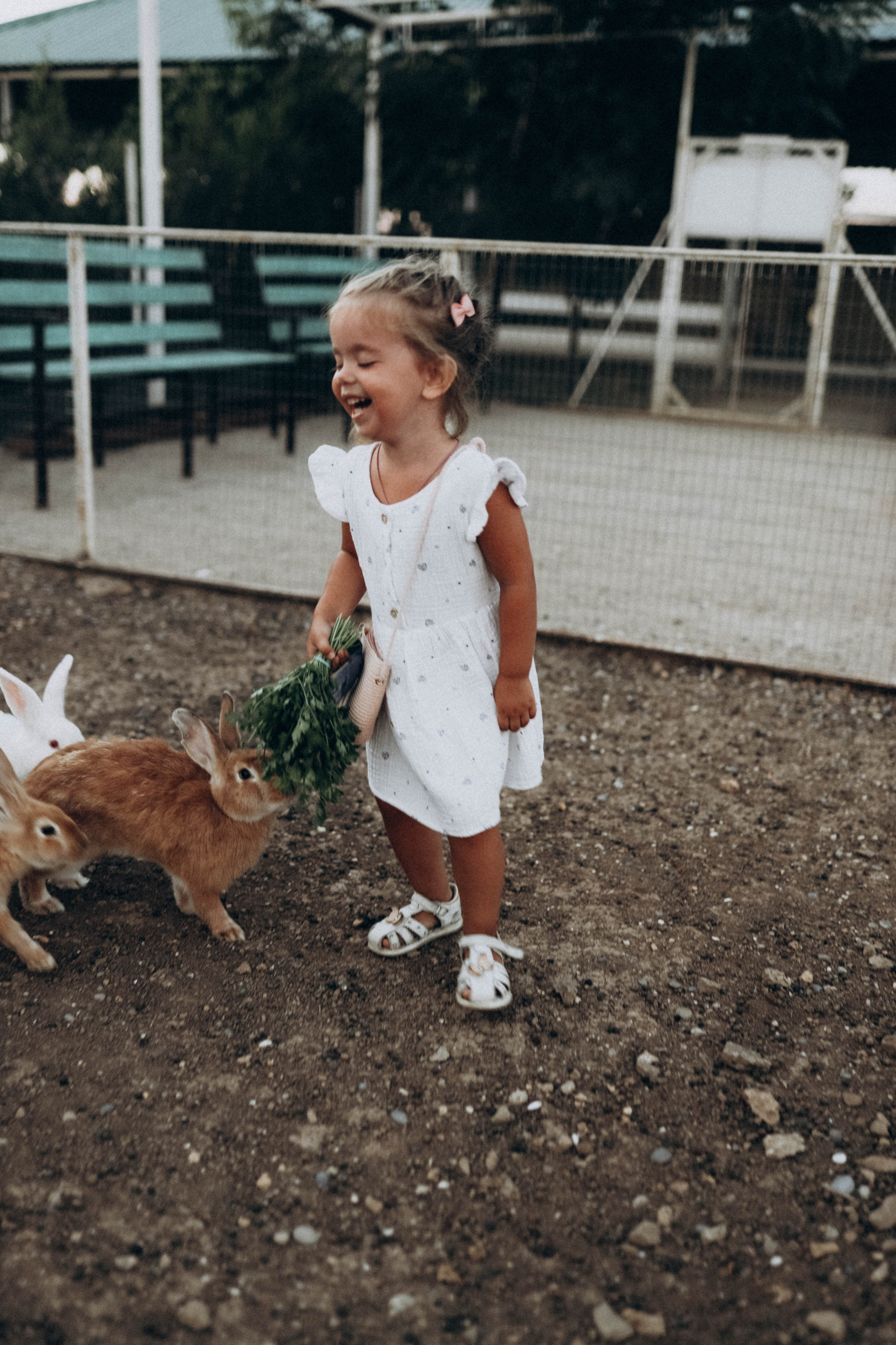 Кроликпарк 🐇. Индивидуальные и семейные съемки в Евпатории, Крыму Немировченко Анна