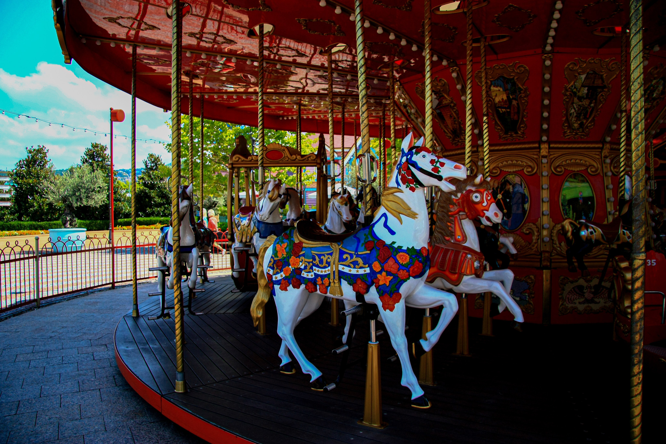 Первые кадры. Сочи — парк. Фотограф Роман Адлер