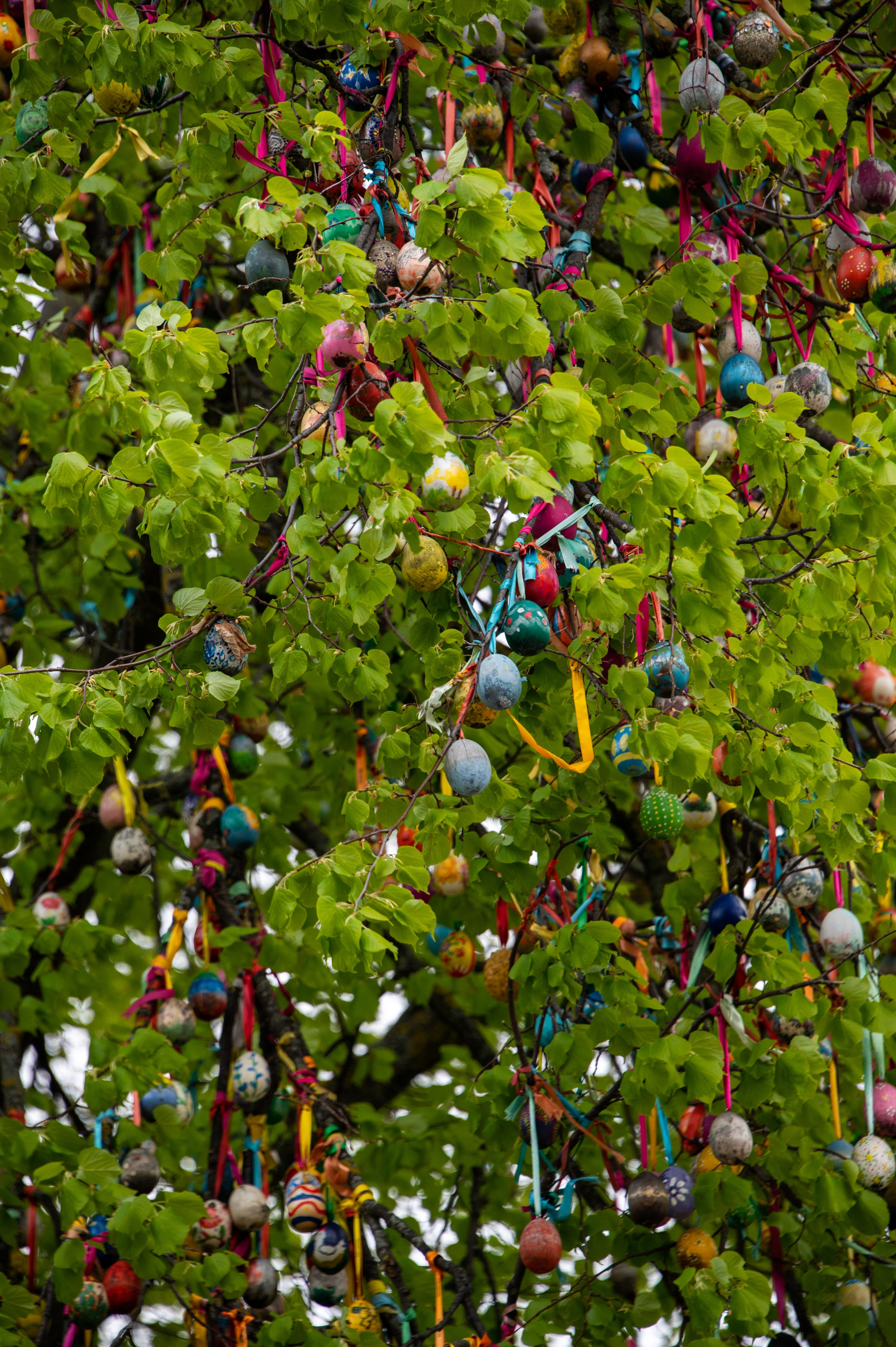 Владимир. Май 2023. Фотограф Роман Адлер