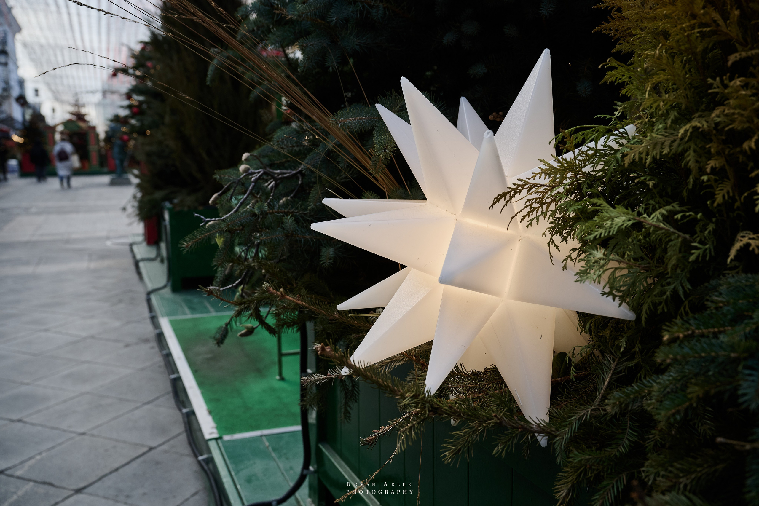 Февральская Москва. Фотограф Роман Адлер