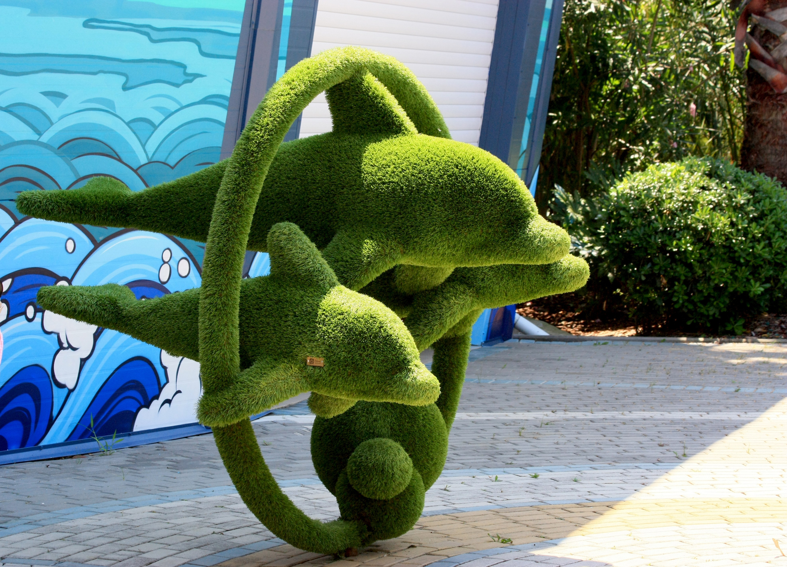 Первые кадры. Сочи — парк. Фотограф Роман Адлер