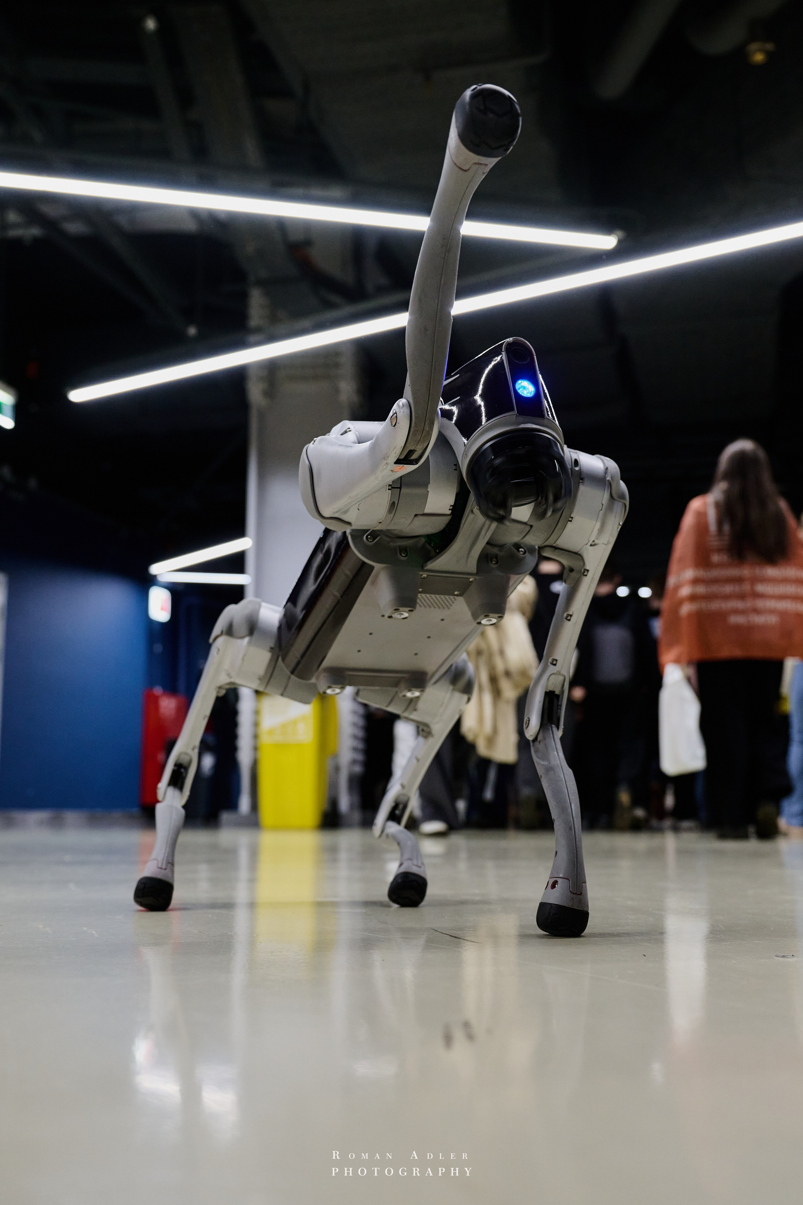 Студфест 2025 Москва. ВТБ Арена. 24 января 2025 года. Фотограф Роман Адлер