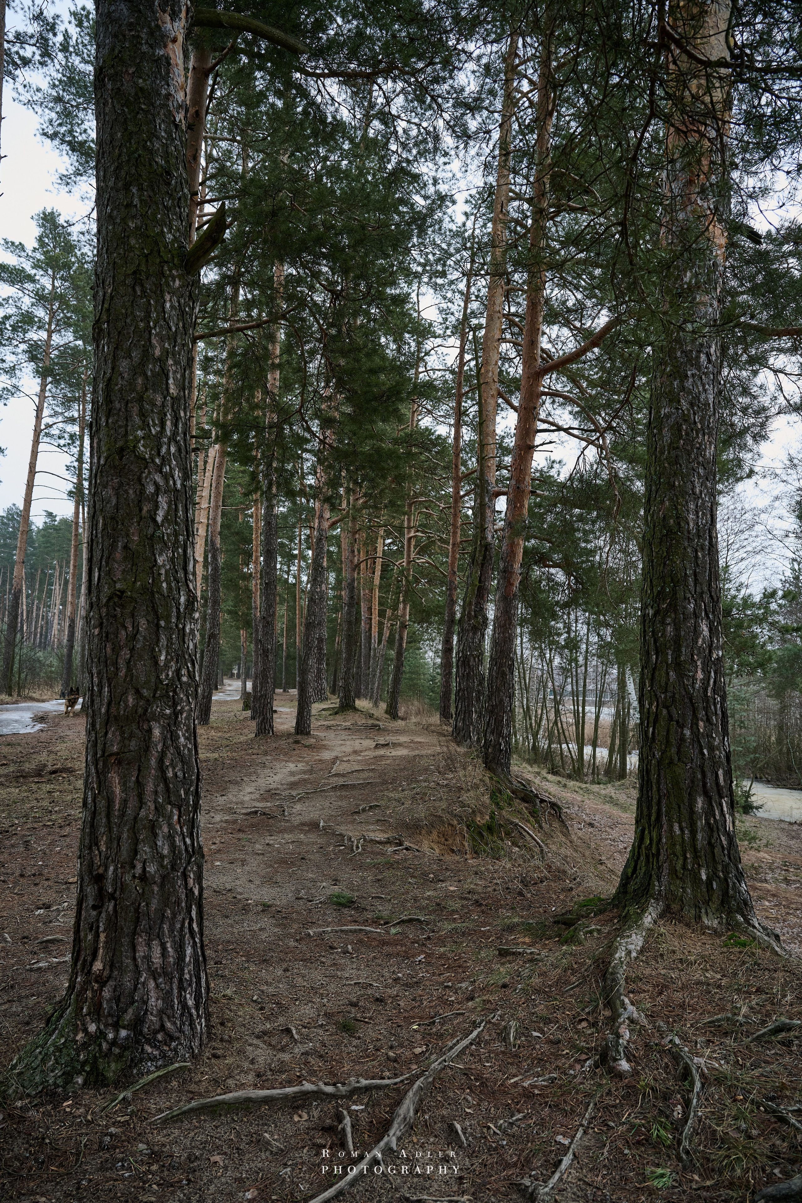 Место силы…. Фотограф Роман Адлер