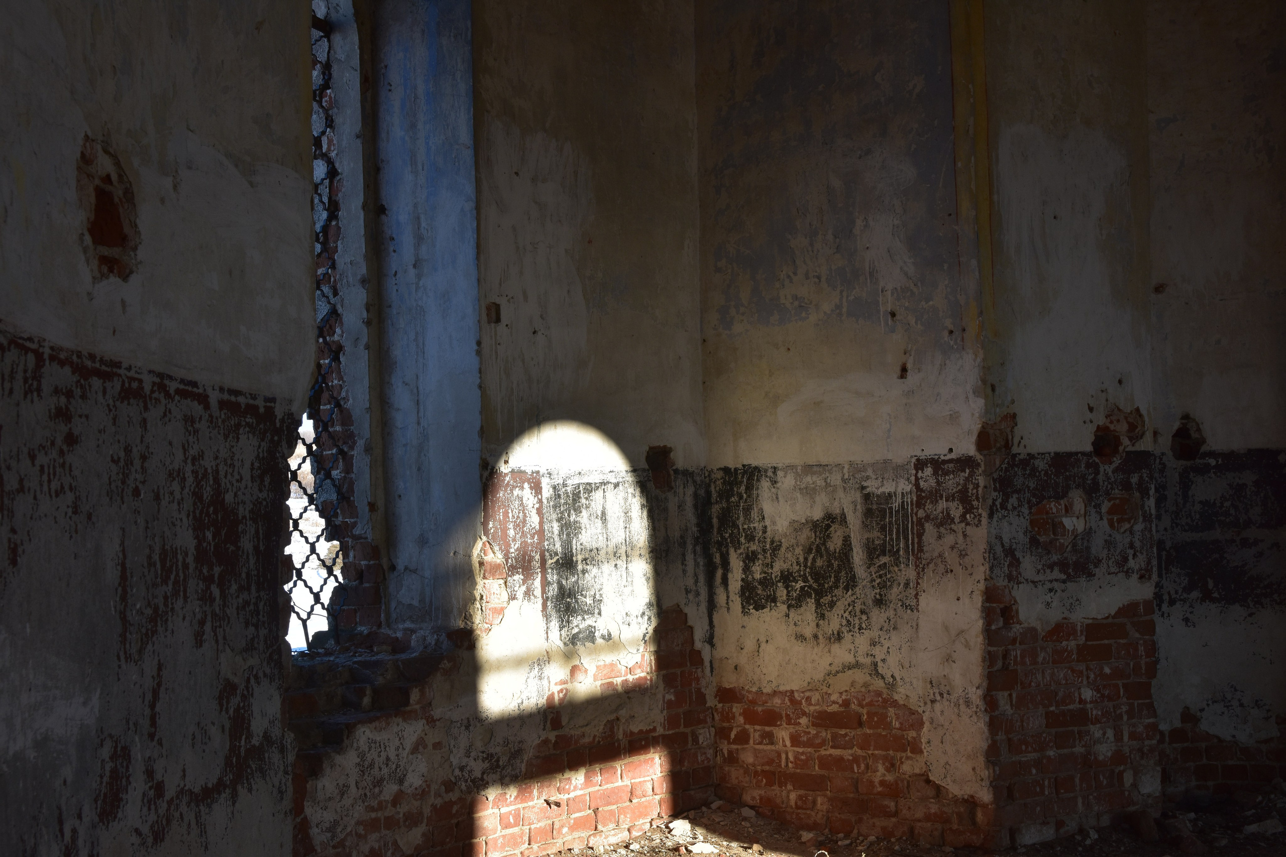 Созерцатель. фотографирую что тронуло и впечатлило. самарская область