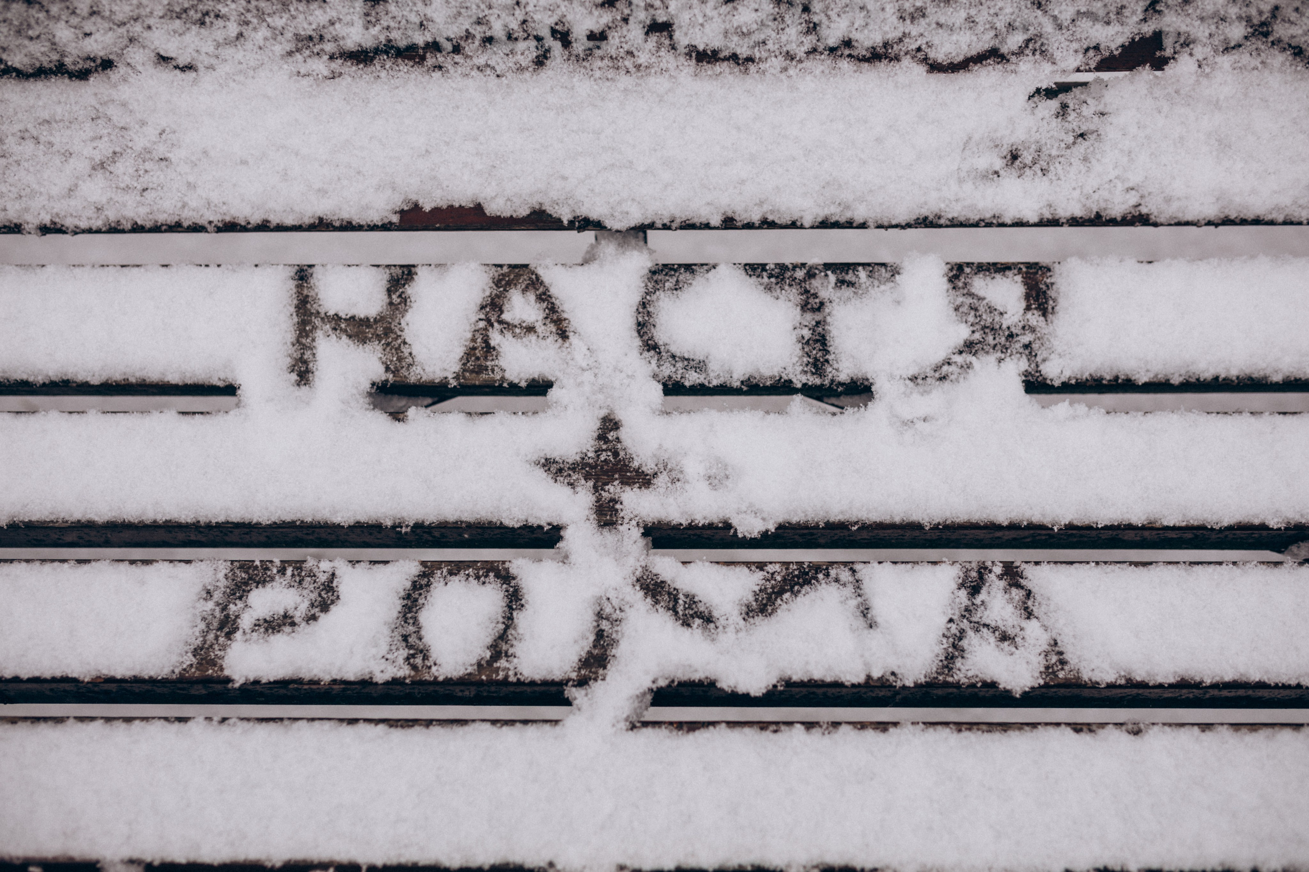Свадебная фотосессия в Суздале и Владимире. Главная