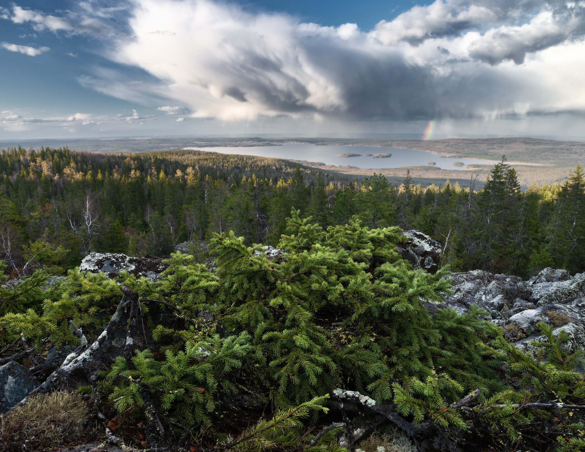 Весенняя тайга и уходящая туча с радугой на небе.