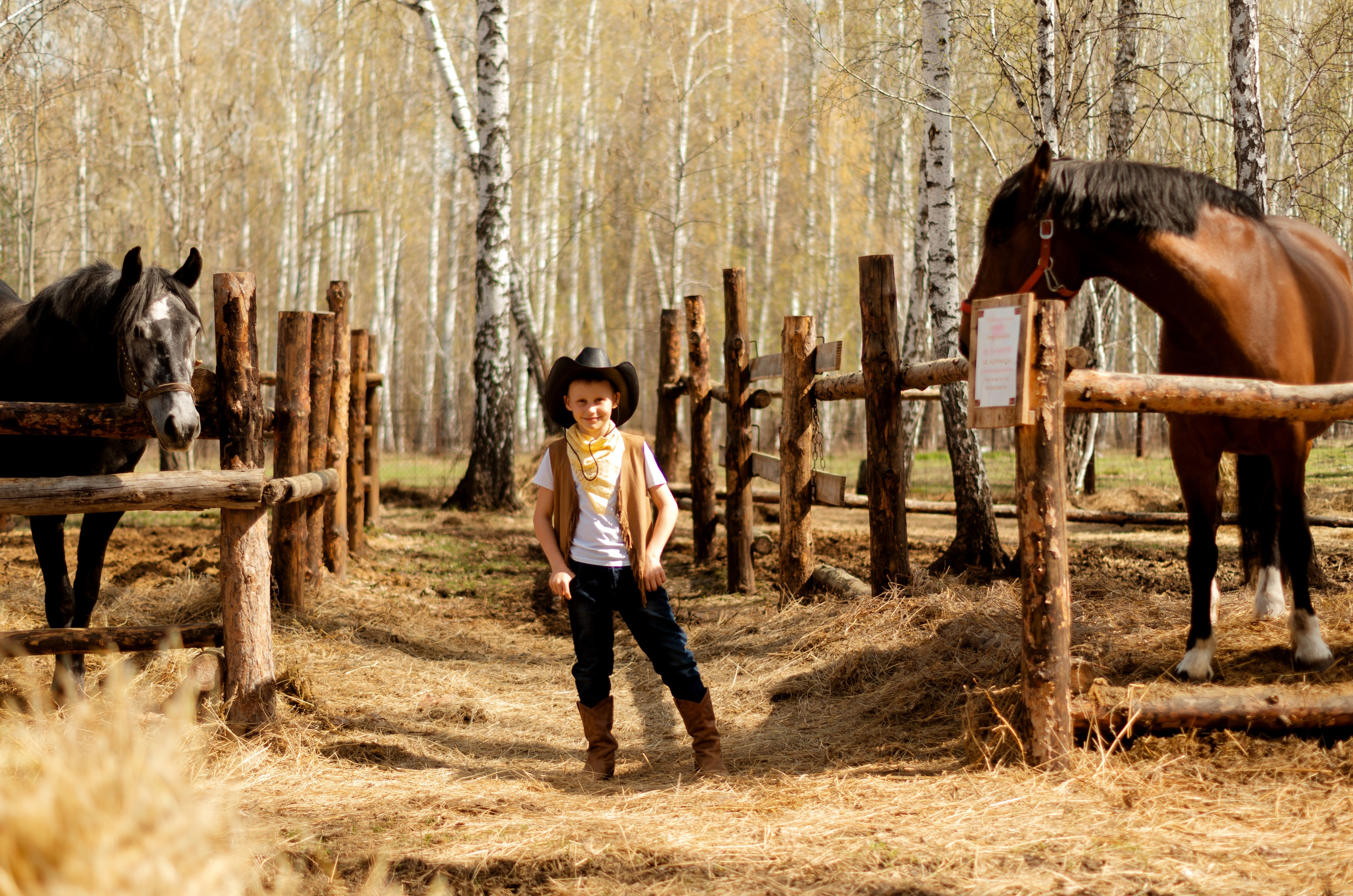 Western. Фотограф Марина Доглядная Челябинск фотосессии с лошадьми, мотоциклами