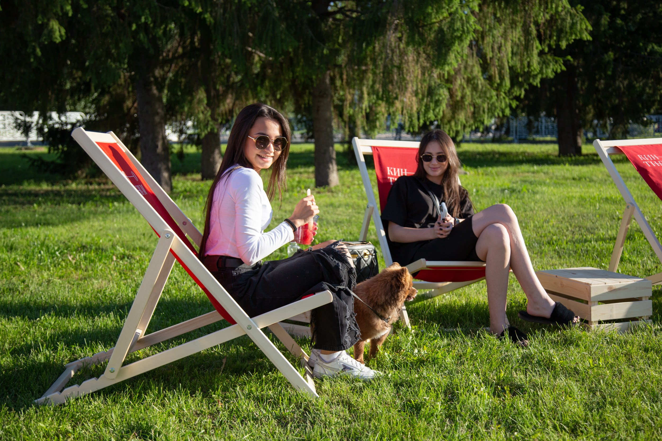 Венский фестиваль. Главная