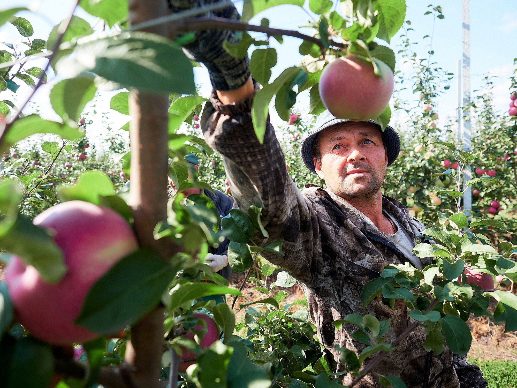 Репортаж. Фотограф Воронеж Александр Нечаев