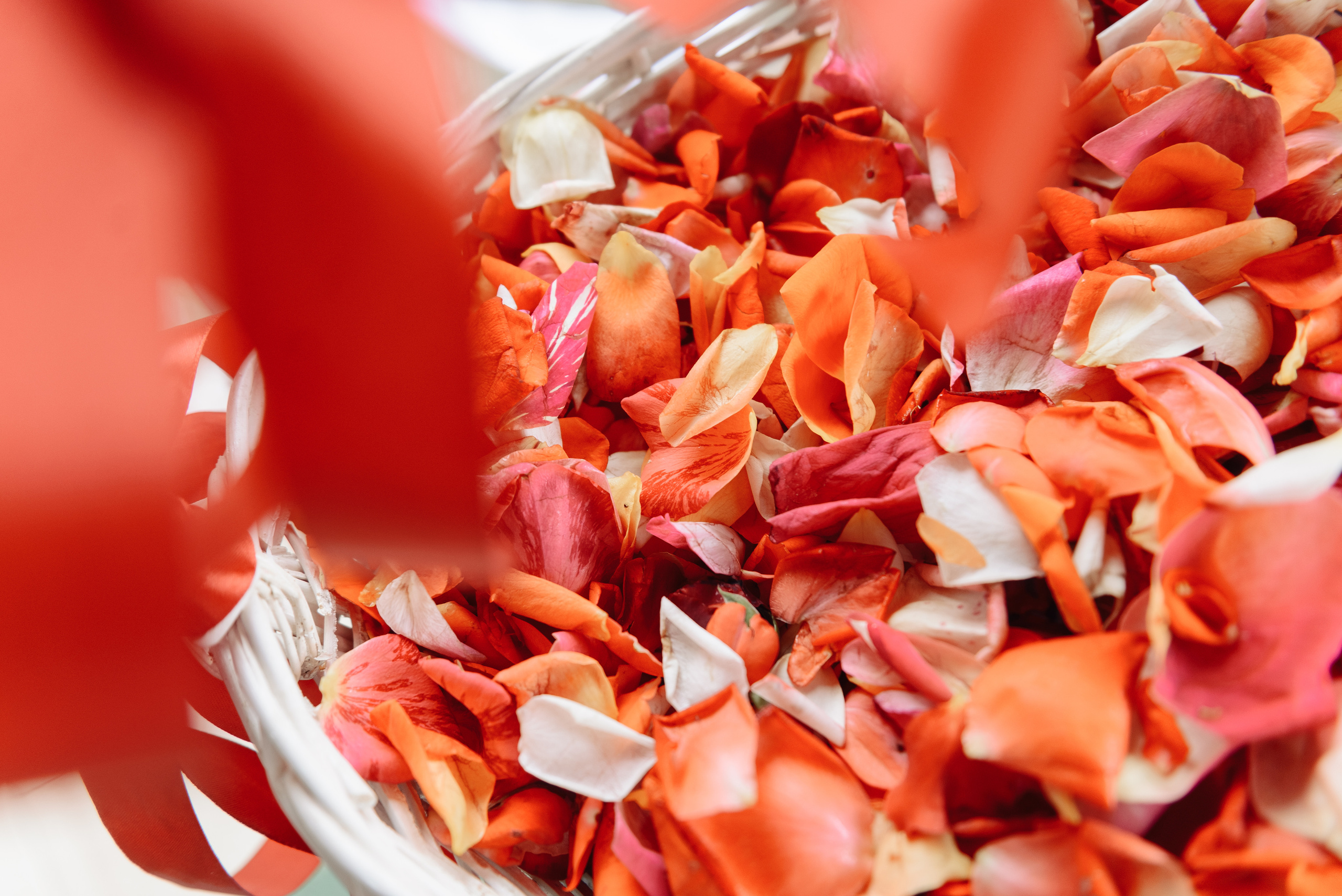 Михаил и Любовь. Семейный и свадебный фотограф в Краснодаре Максим Ершов