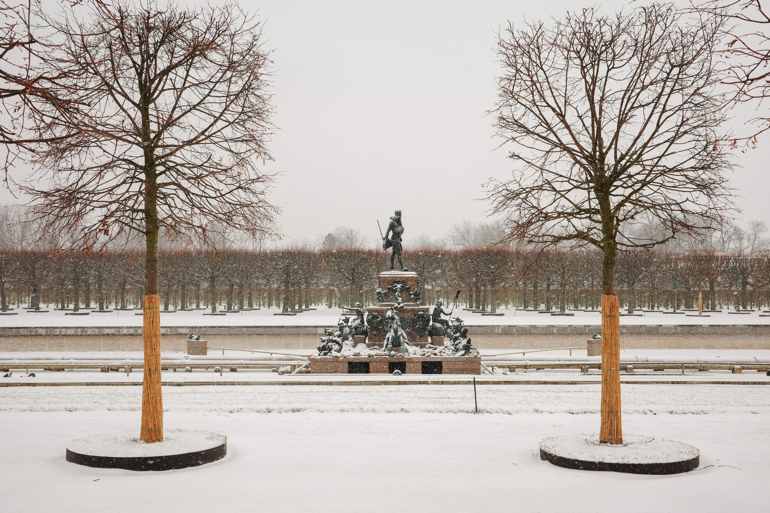 2025.02. Фотограф Алексей Алексеев