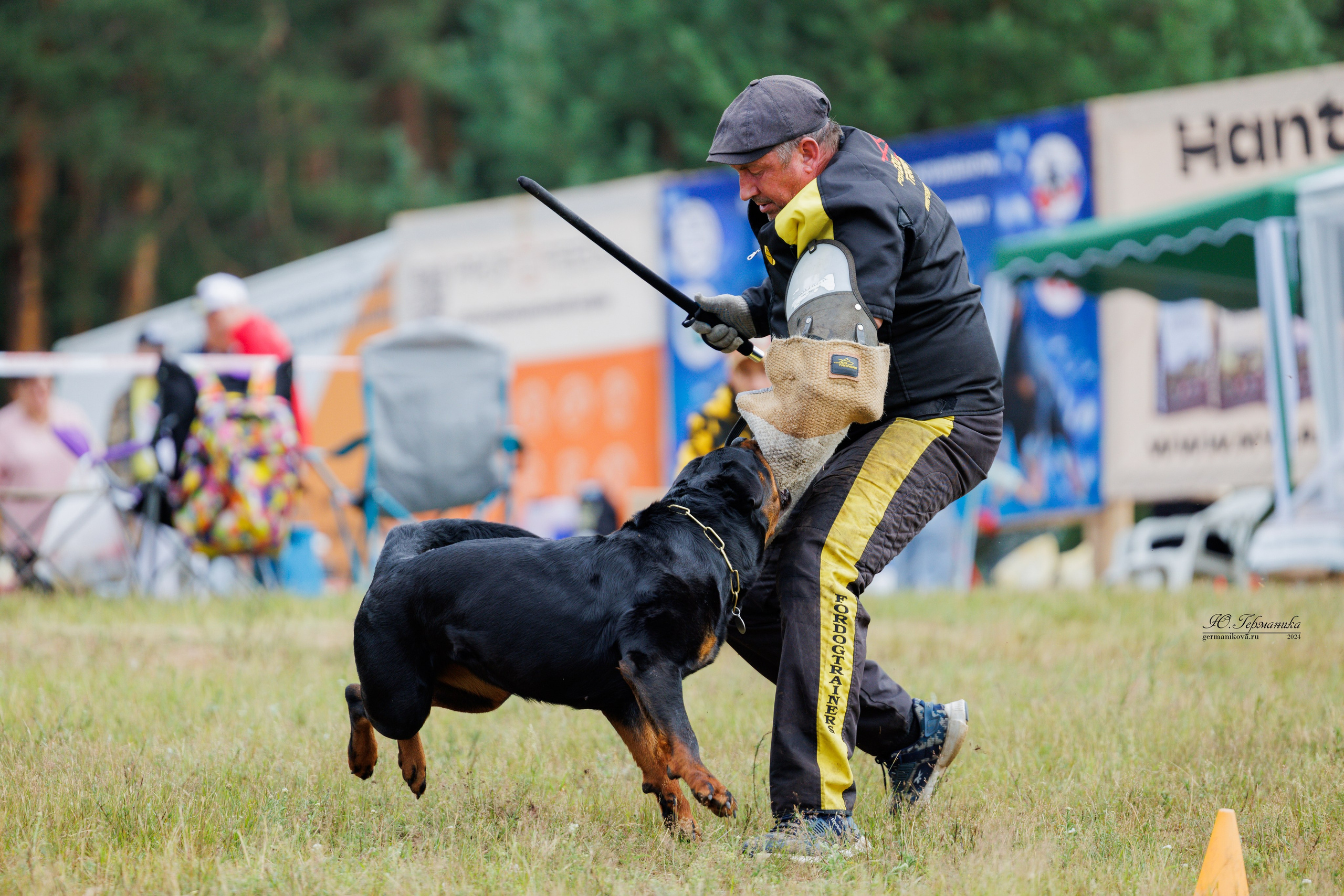 ПК и КЧК ротвейлеры Тверь 6-7.07.2024. Фотограф-анималист Юлия Германика