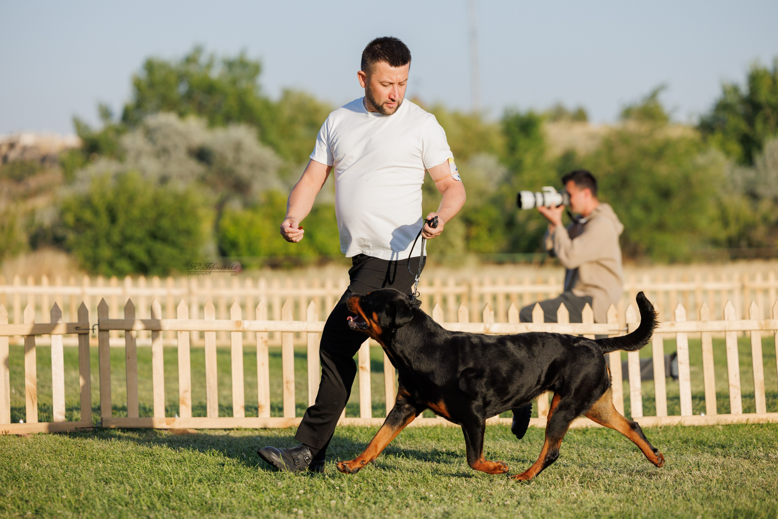 Ереван 3хCACIB 23-25.06.2025. Фотограф-анималист Юлия Германика