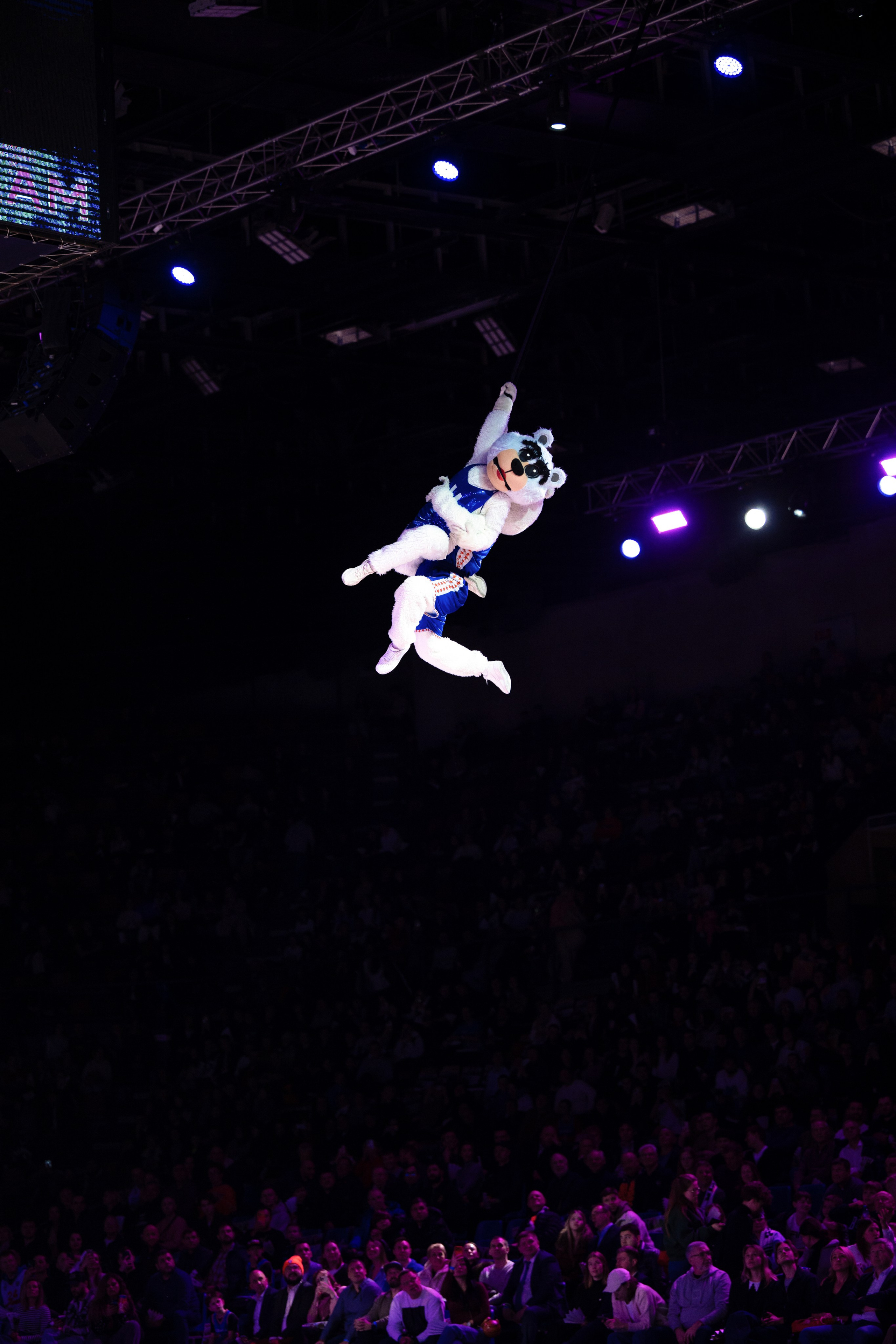 БЕТСИТИ ПАРМА — Локомотив-Кубань. Репортажный фотограф