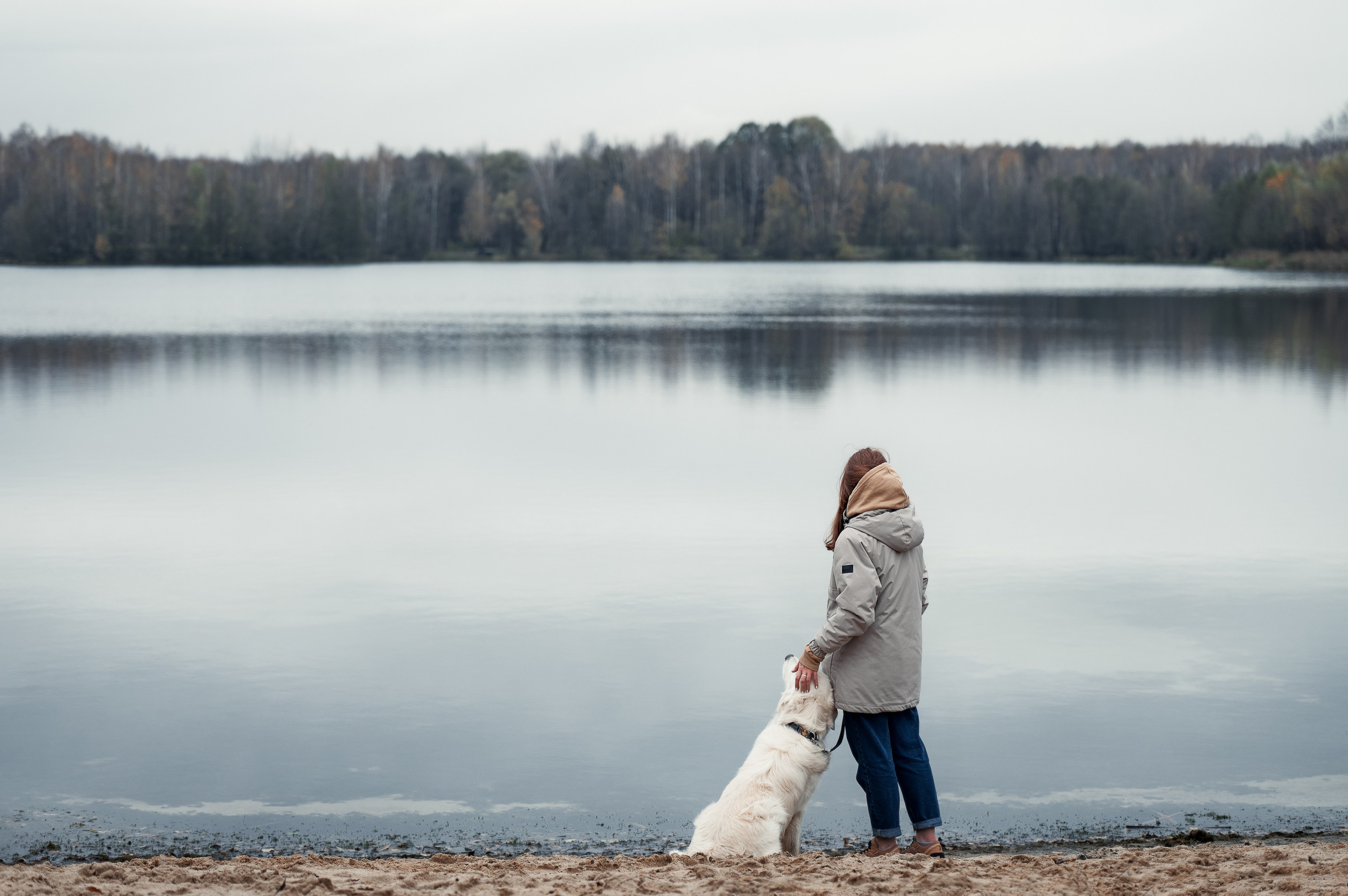 Айс и золотая осень. Фотограф-анималист