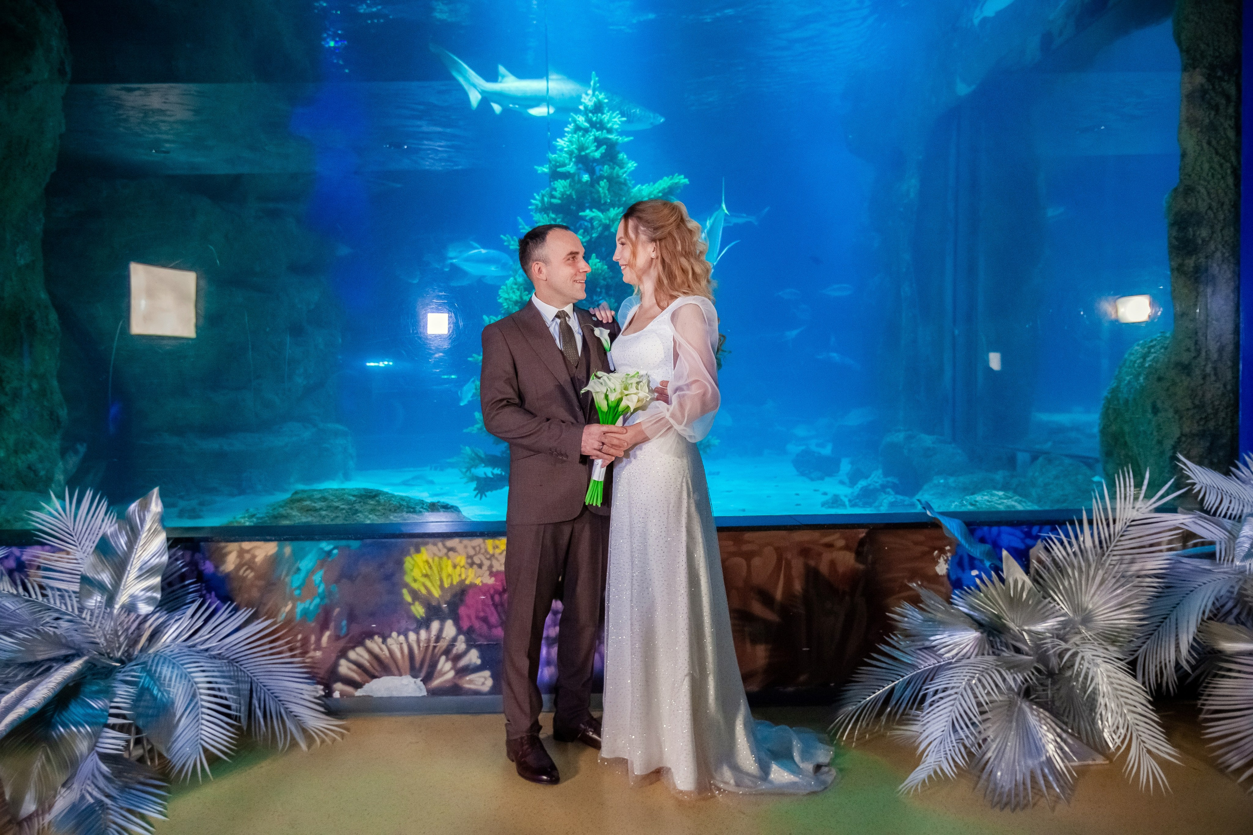 1-12-2023. Главная