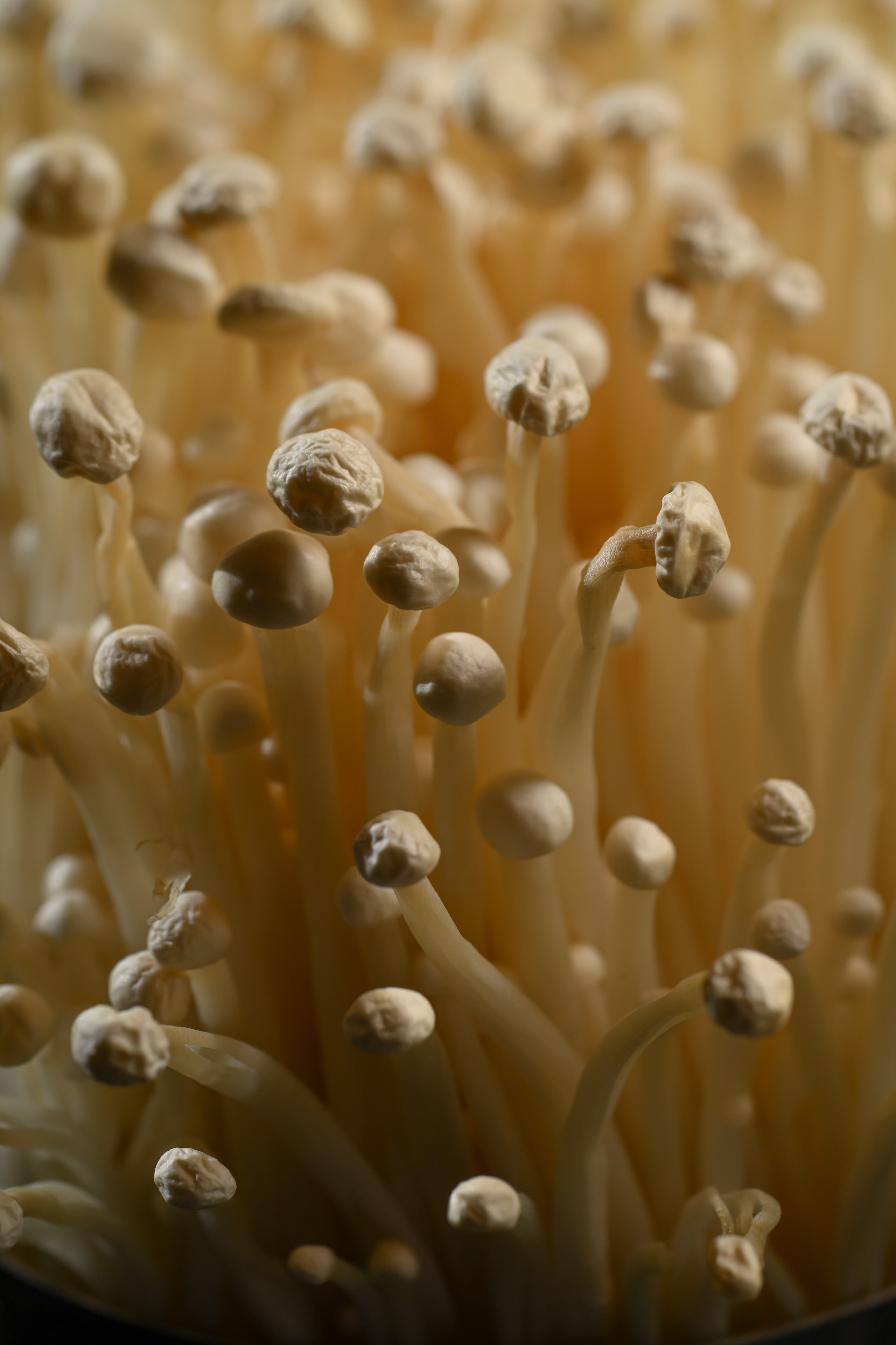 Food съемка. Портфолио