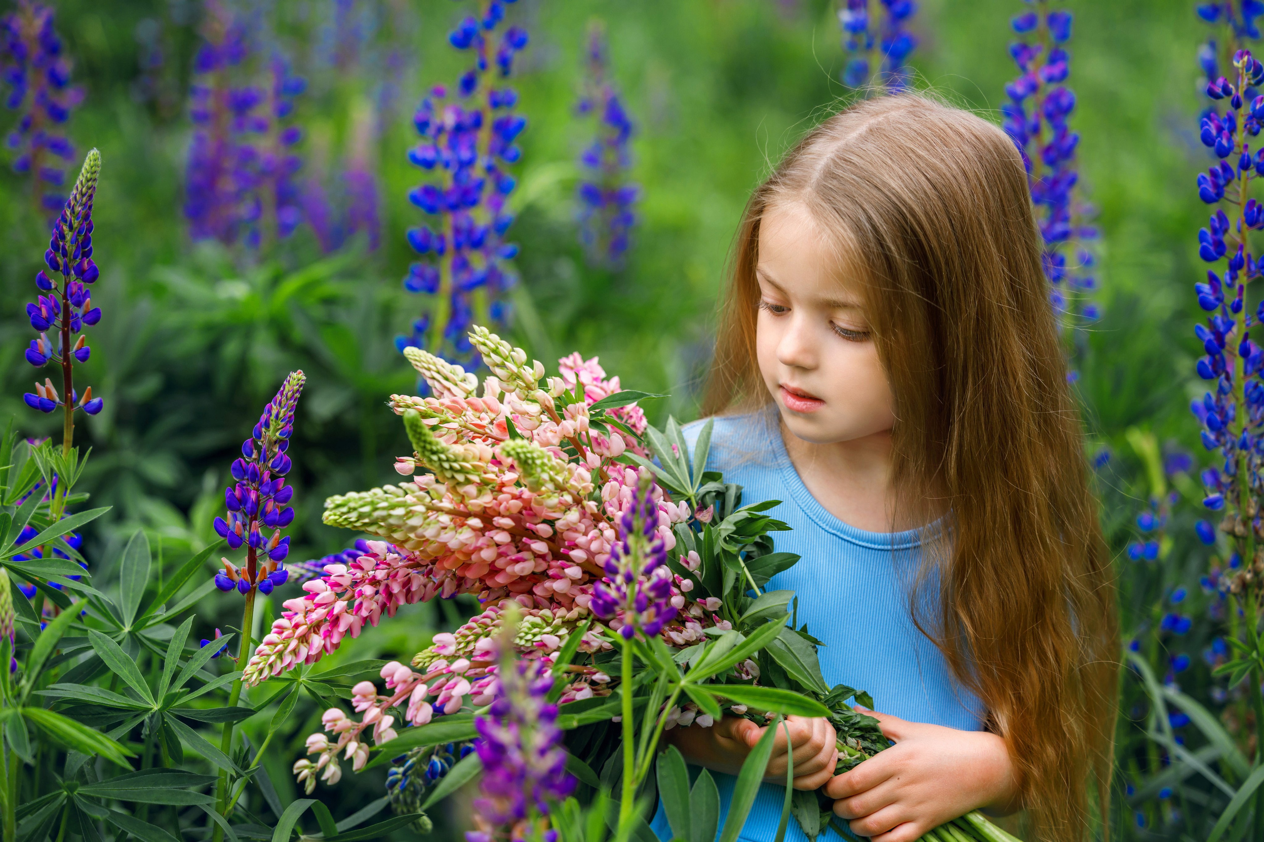 Детская фотосессия в люпинах.
